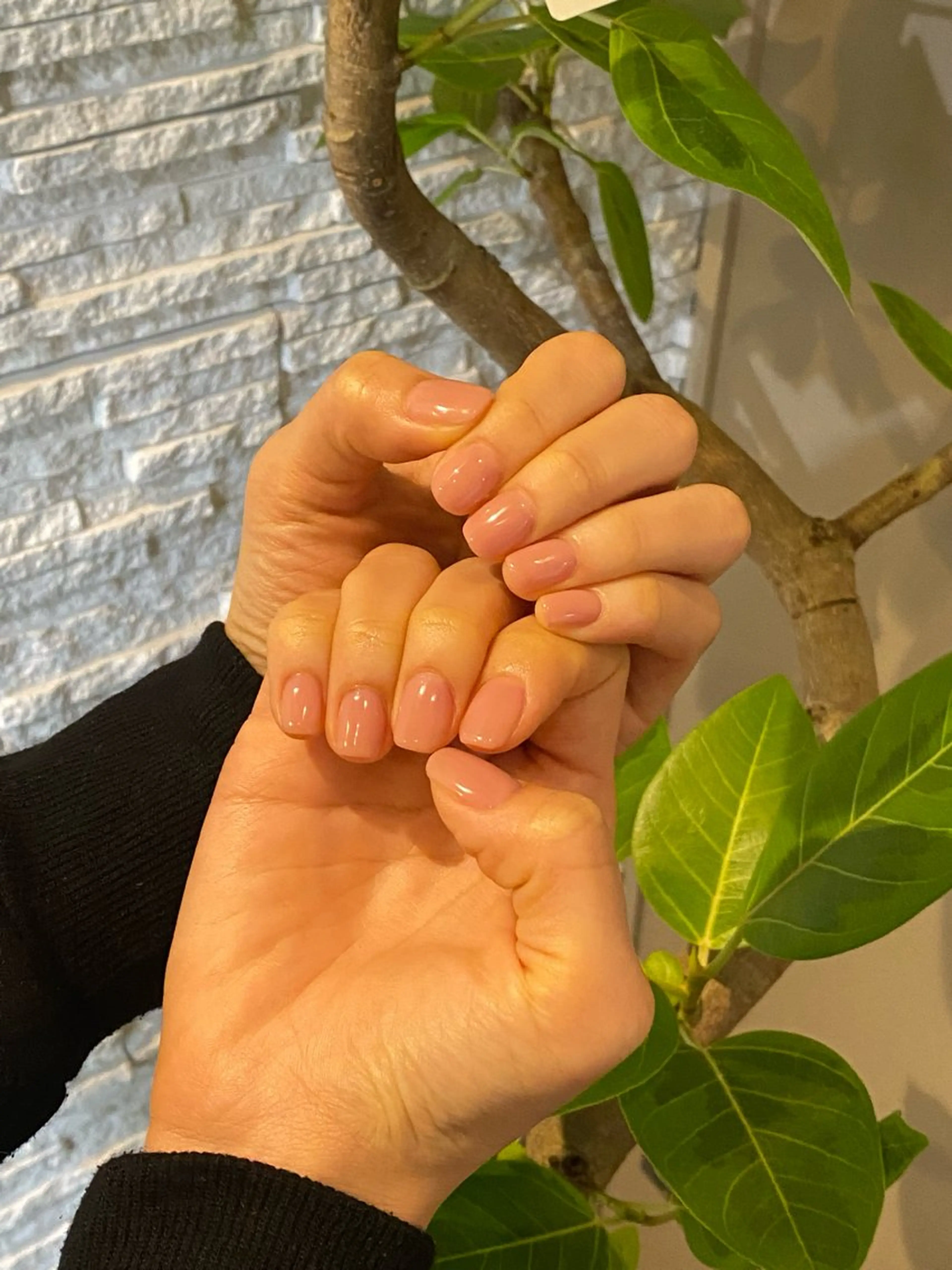 ワンカラー(オフあり)ソフトジェルのみ対応※注意事項必ずお読みください🙇🏻の写真