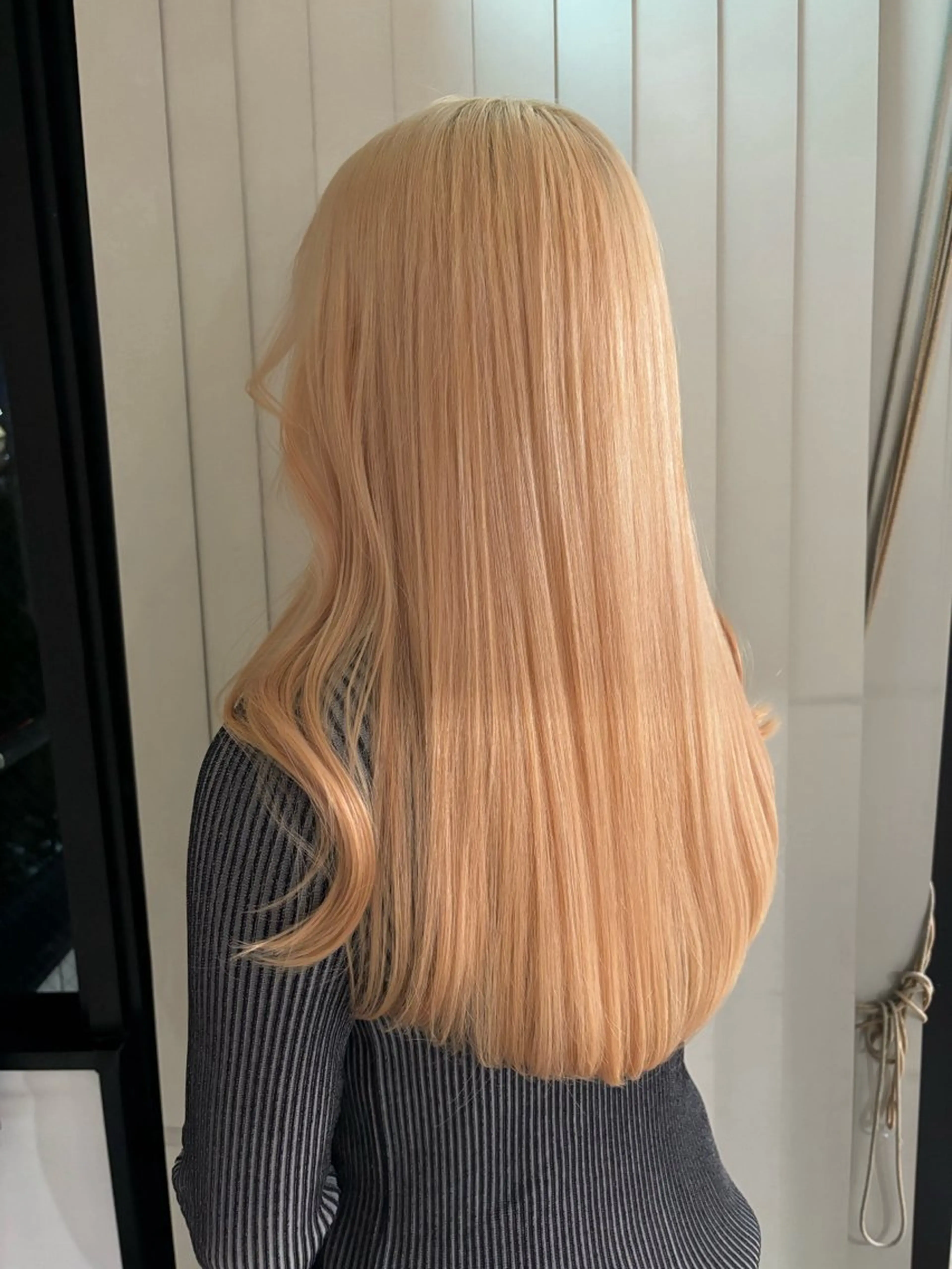 ロング カラー アディクシーカラー アッシュ アッシュブラウン ベージュカラー 黒髪 暖色カラー🍒 ケアブリーチ/akiのヘアスタイル