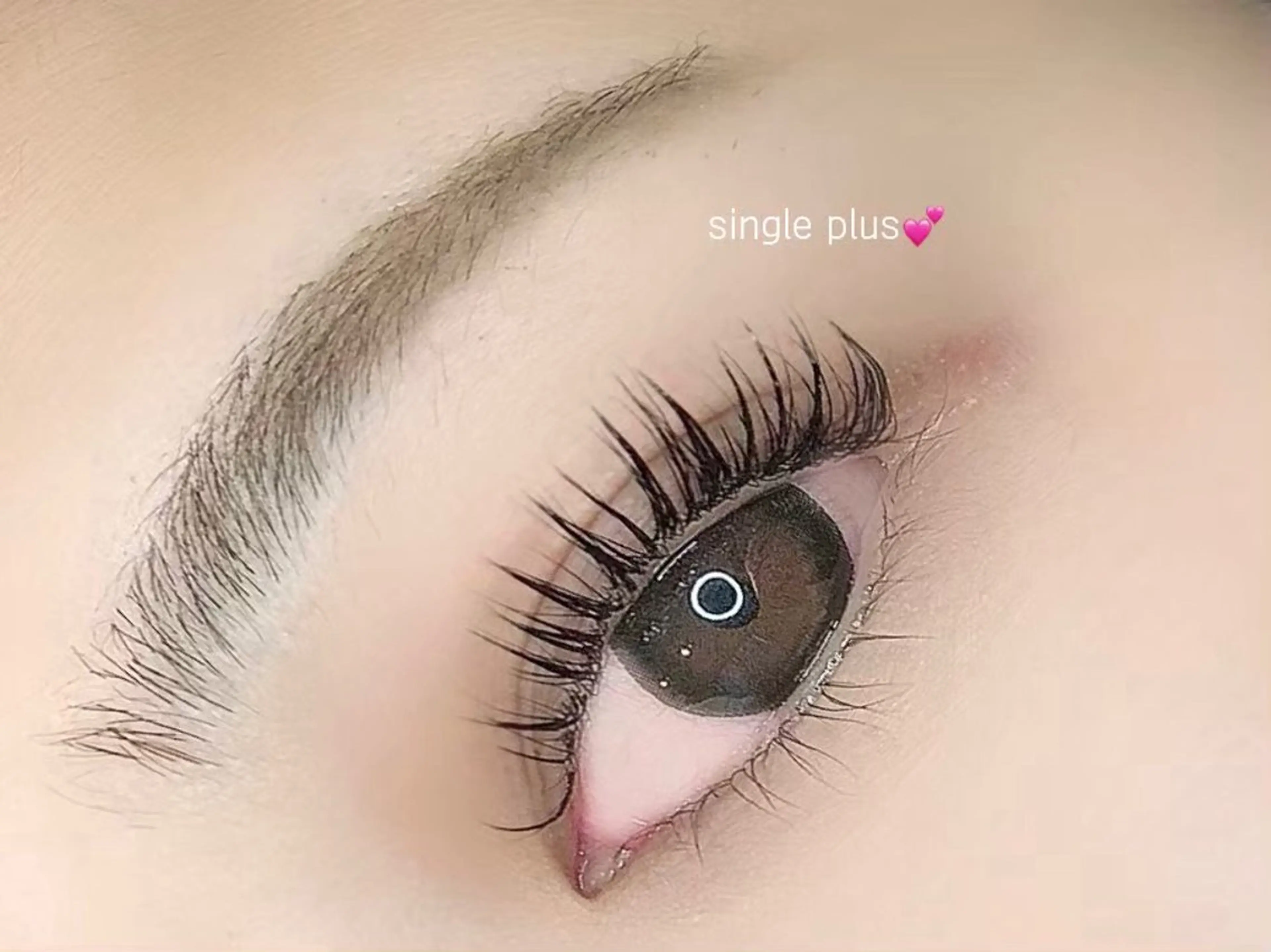 シングルプラスの写真