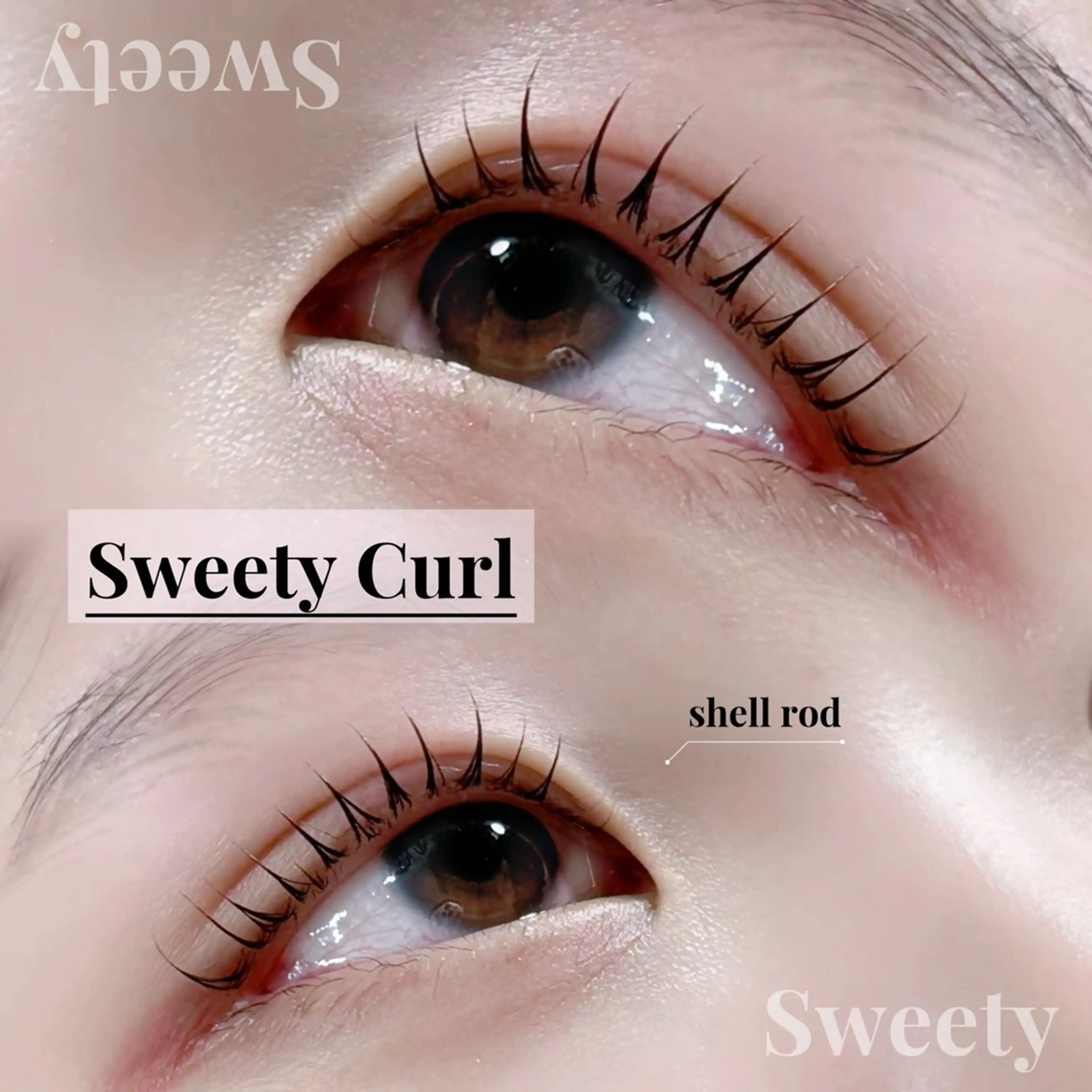 マツエク・マツパ マリーテレジア💕 えまのマツエク・マツパデザイン