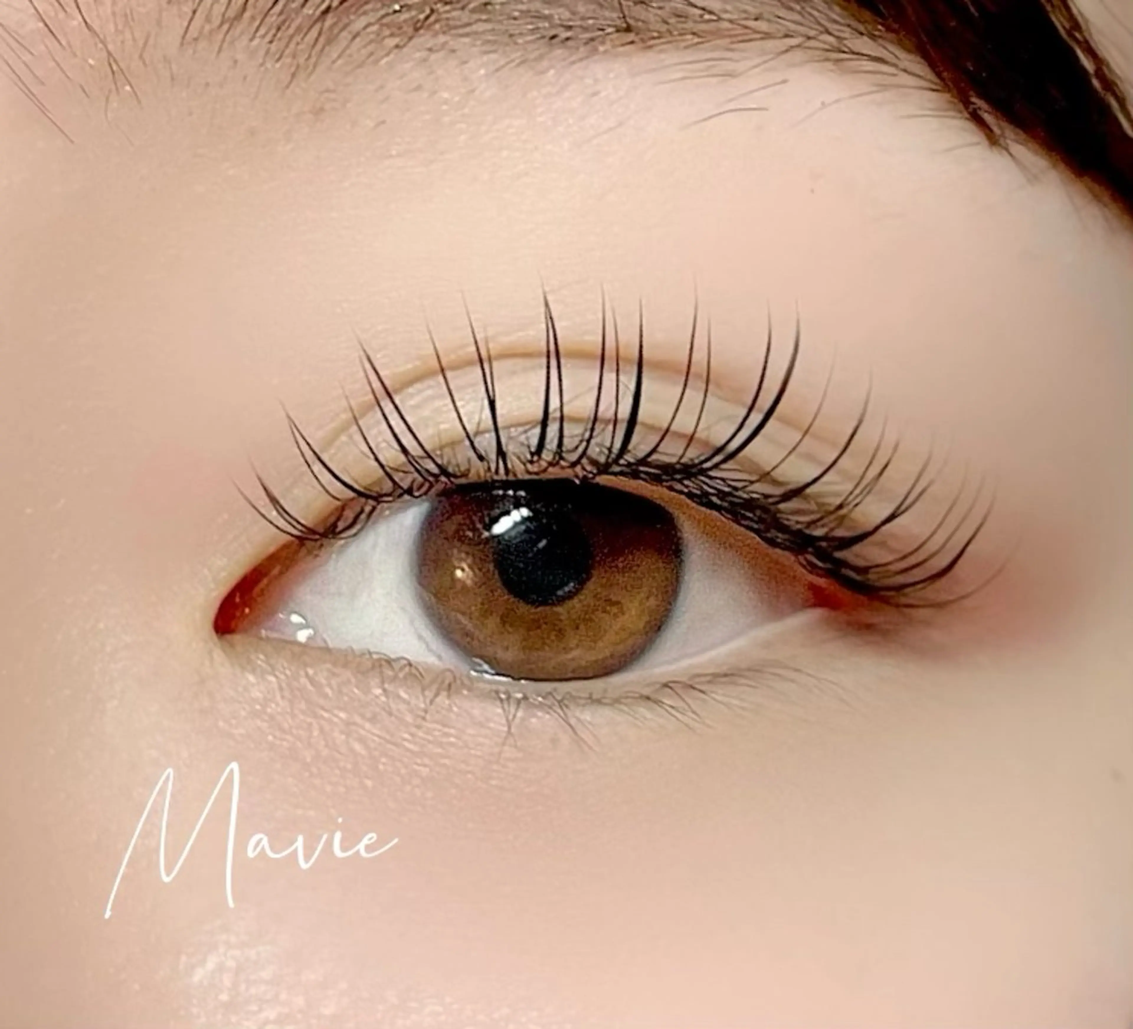 【12月限定】フラットラッシュ120本の写真