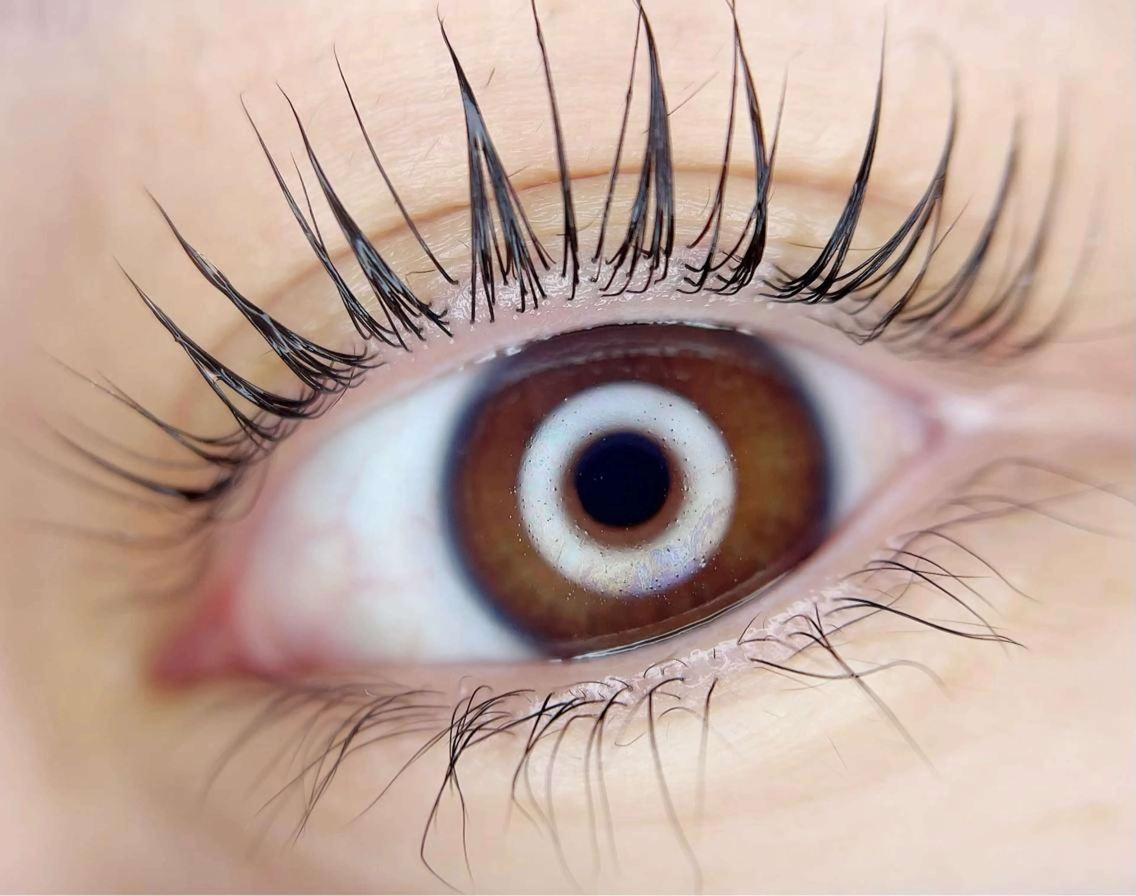 マツエク・マツパ crown KIYOMIのマツエク・マツパデザイン