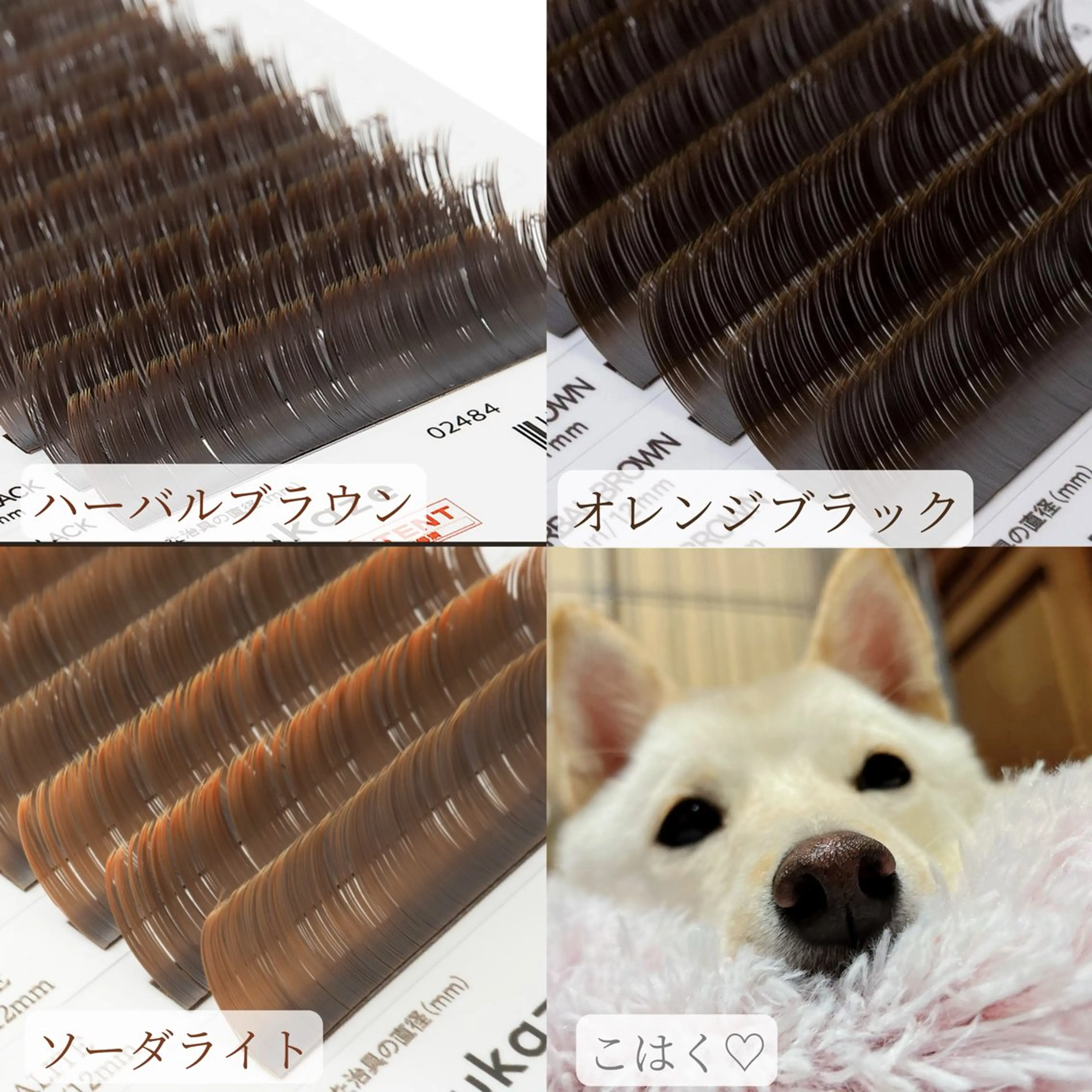 マツエク・マツパ カラーマツエク ナチュラル マツエク anocharm🫧 ami［店長］のマツエク・マツパデザイン