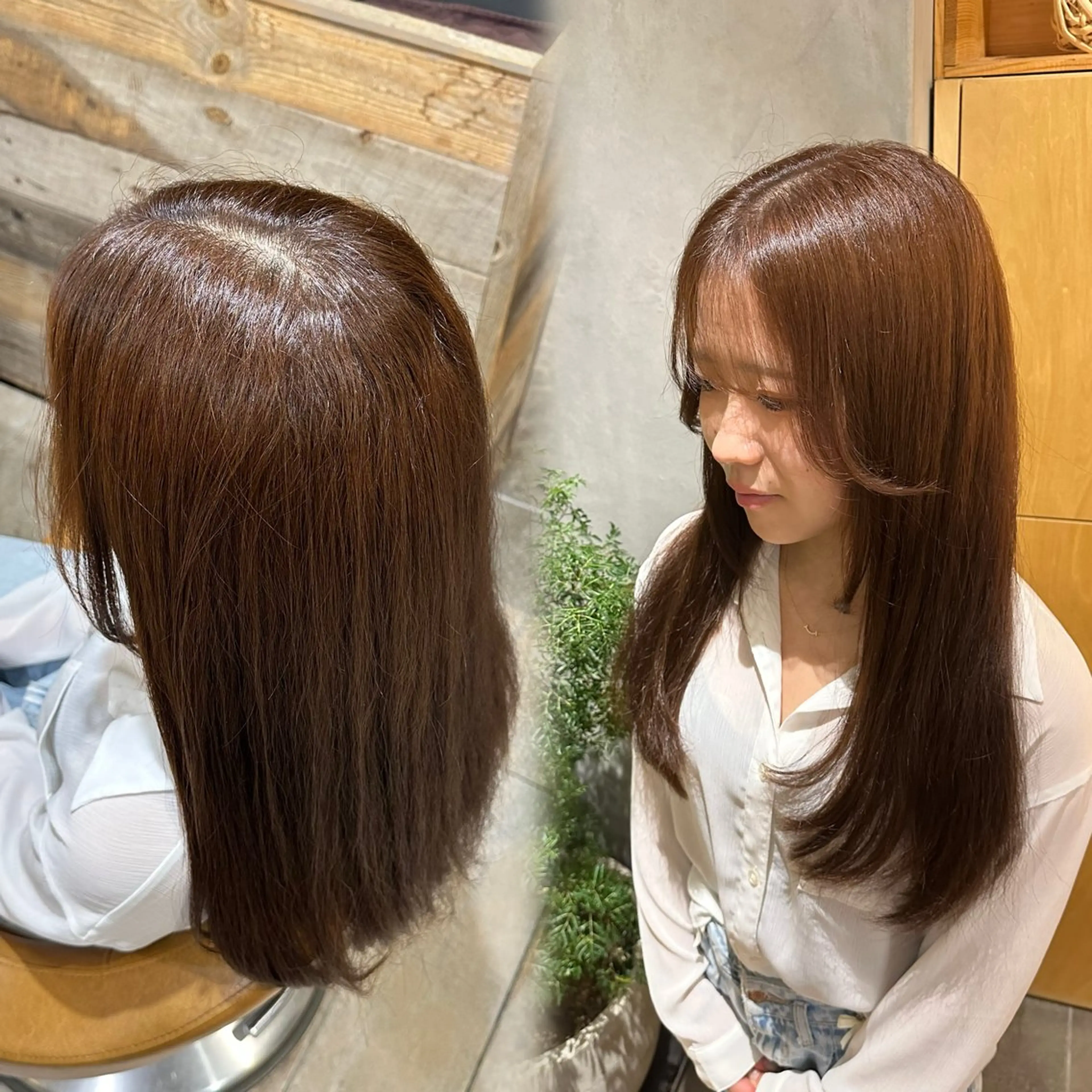 ブリーチなしダブルカラー🫧白髪染め/白髪ぼかし/メンズ予約可◎ 🎓ミニモ学割✏️※詳細必読の写真