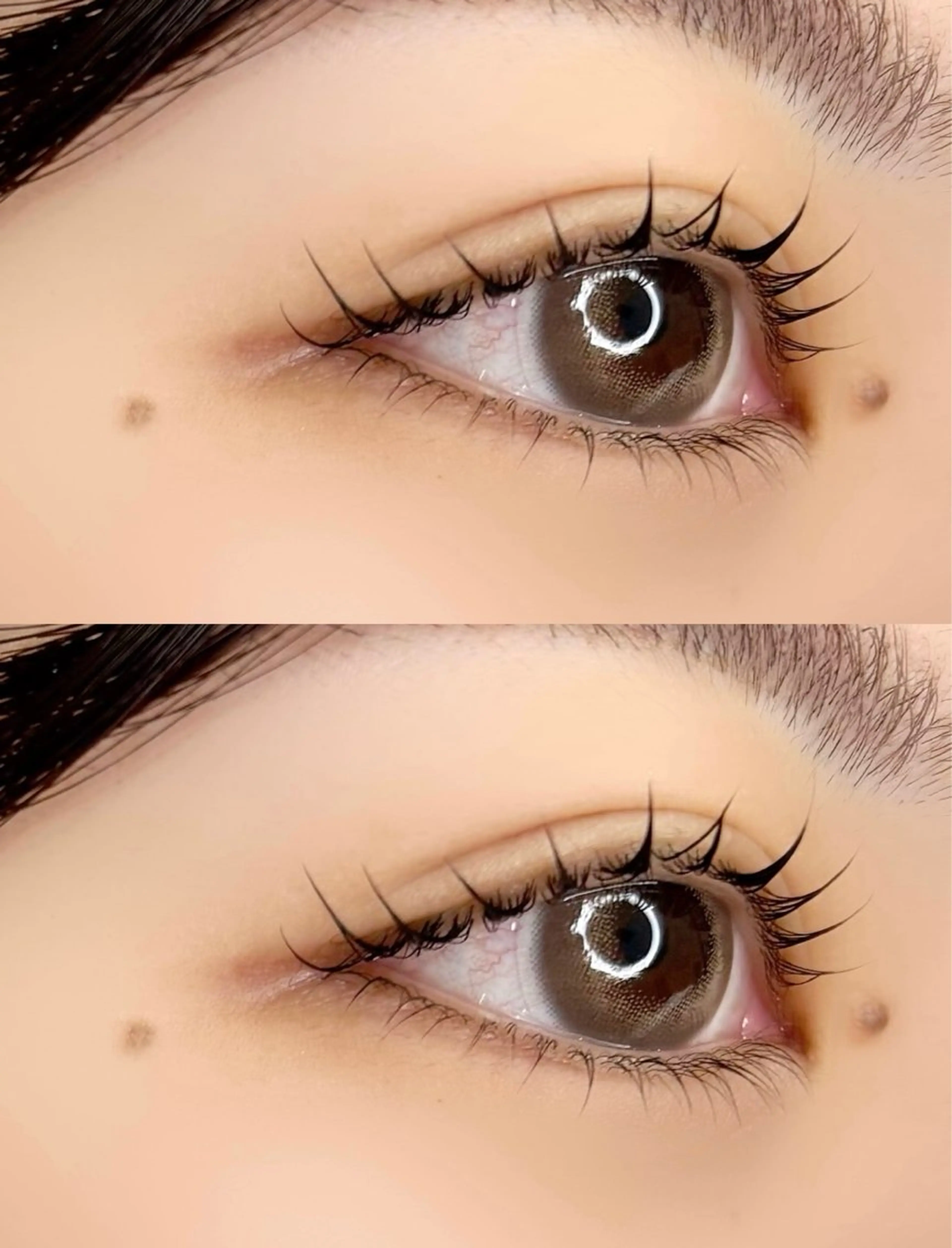 🫧ラッシュリフト🫧の写真