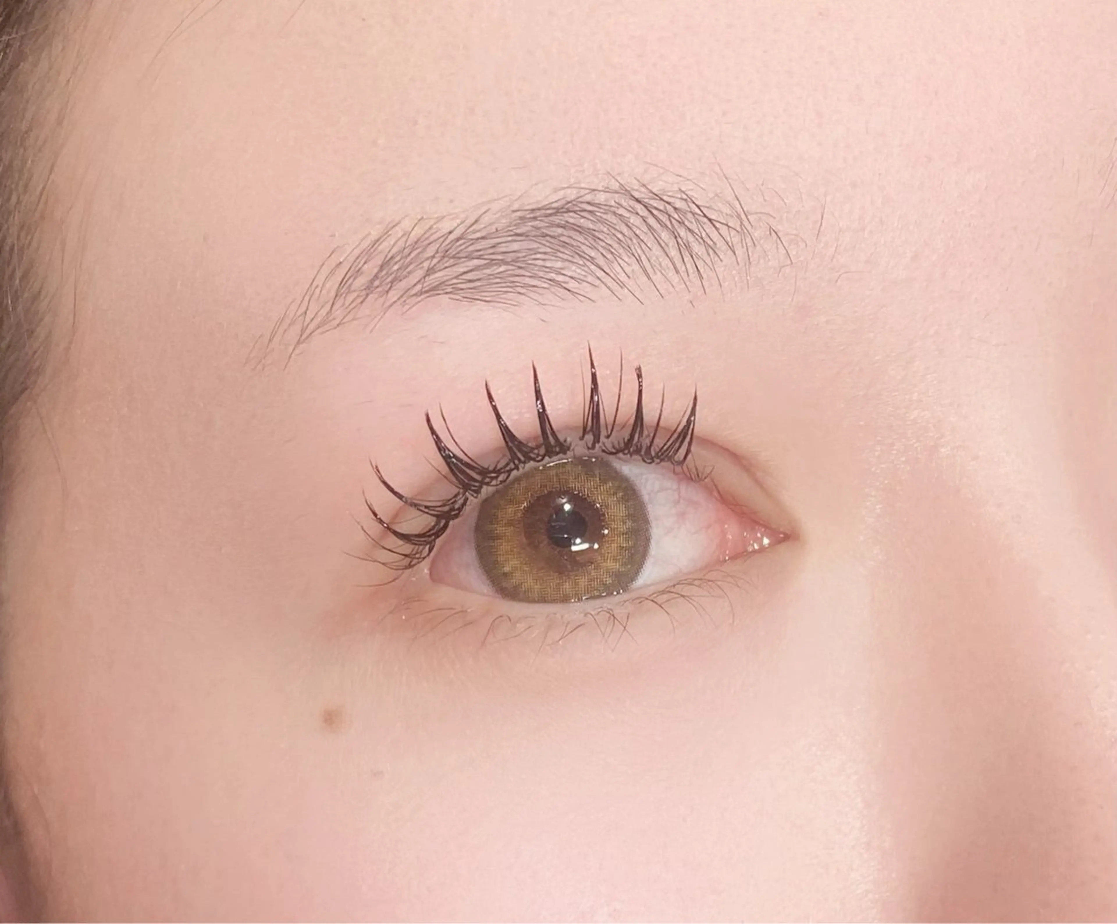 🌟パリエク100本🌟の写真