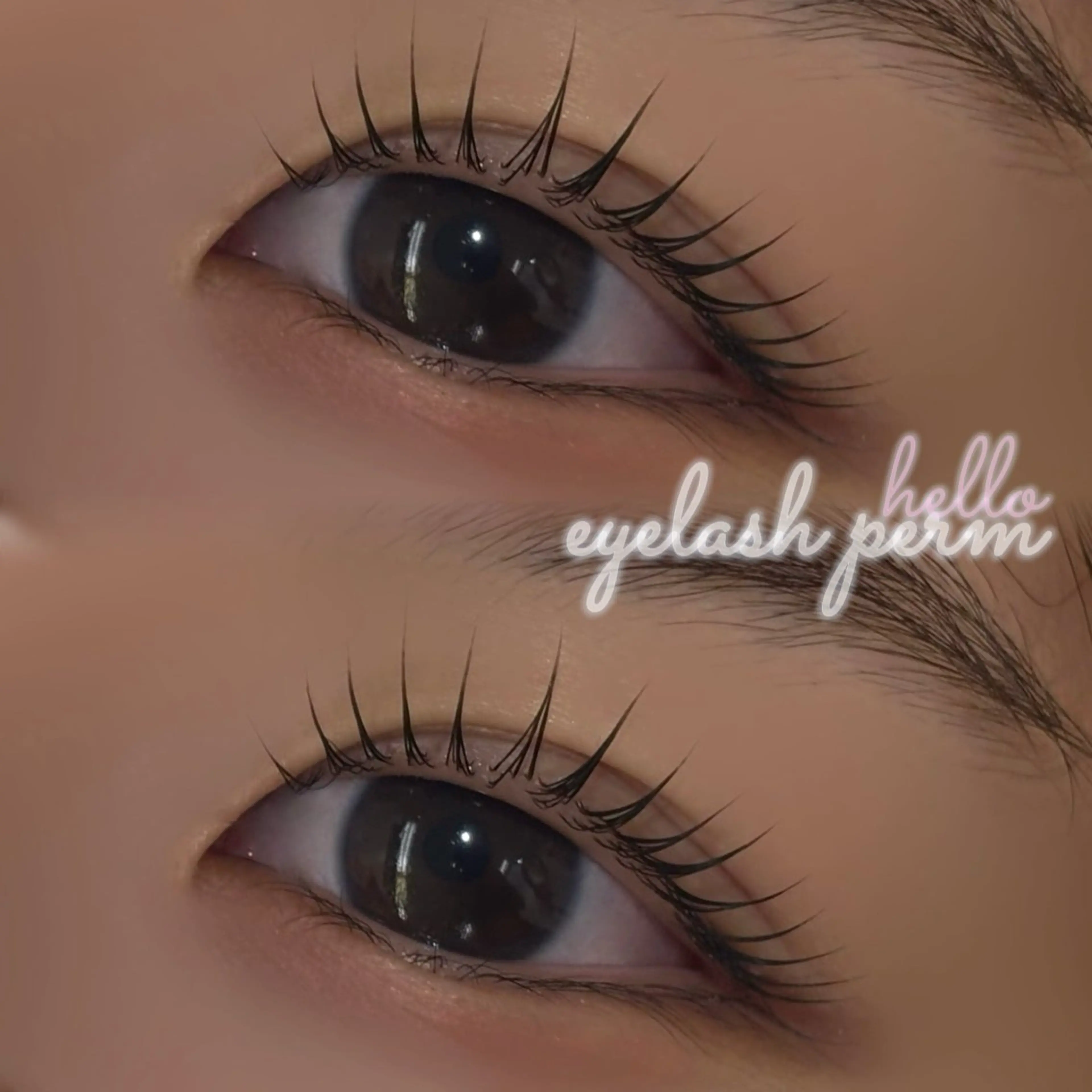 【期間限定メニュー💫】💎選べるまつ毛パーマorパリジェンヌラッシュリフト💎束感コーティング剤仕上げ付きの写真