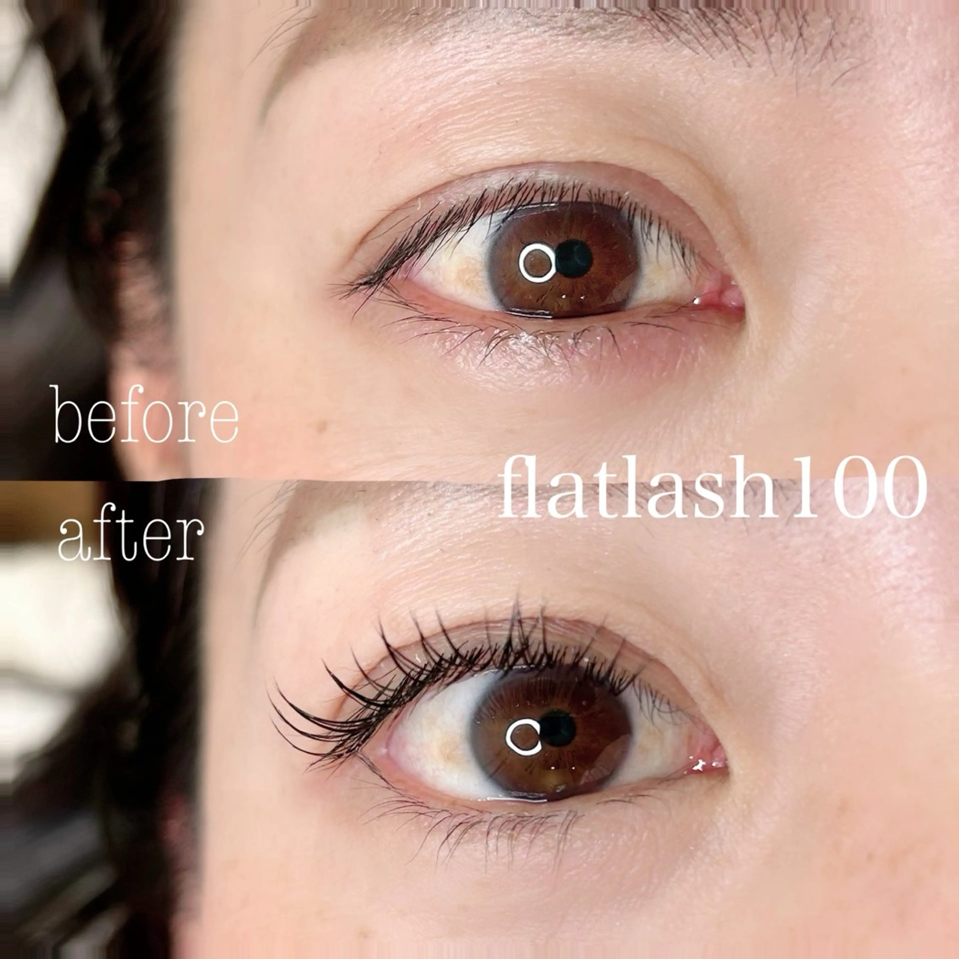 マツエク・マツパ Dカール フラットラッシュ ナチュラル マツエク elua eyelash所属・elua eyelashのマツエク・マツパデザイン