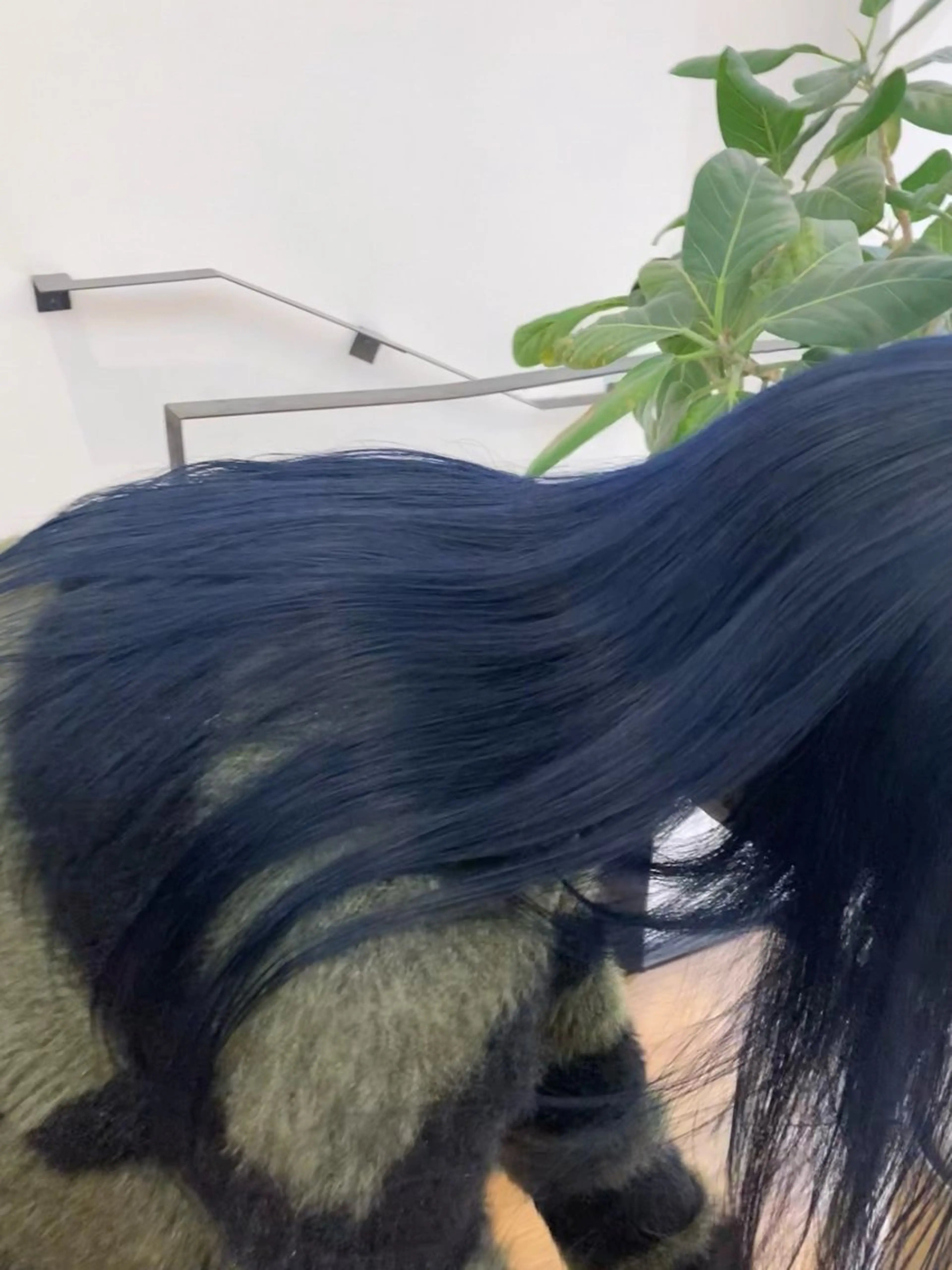 カラー 津田 里菜のヘアスタイル