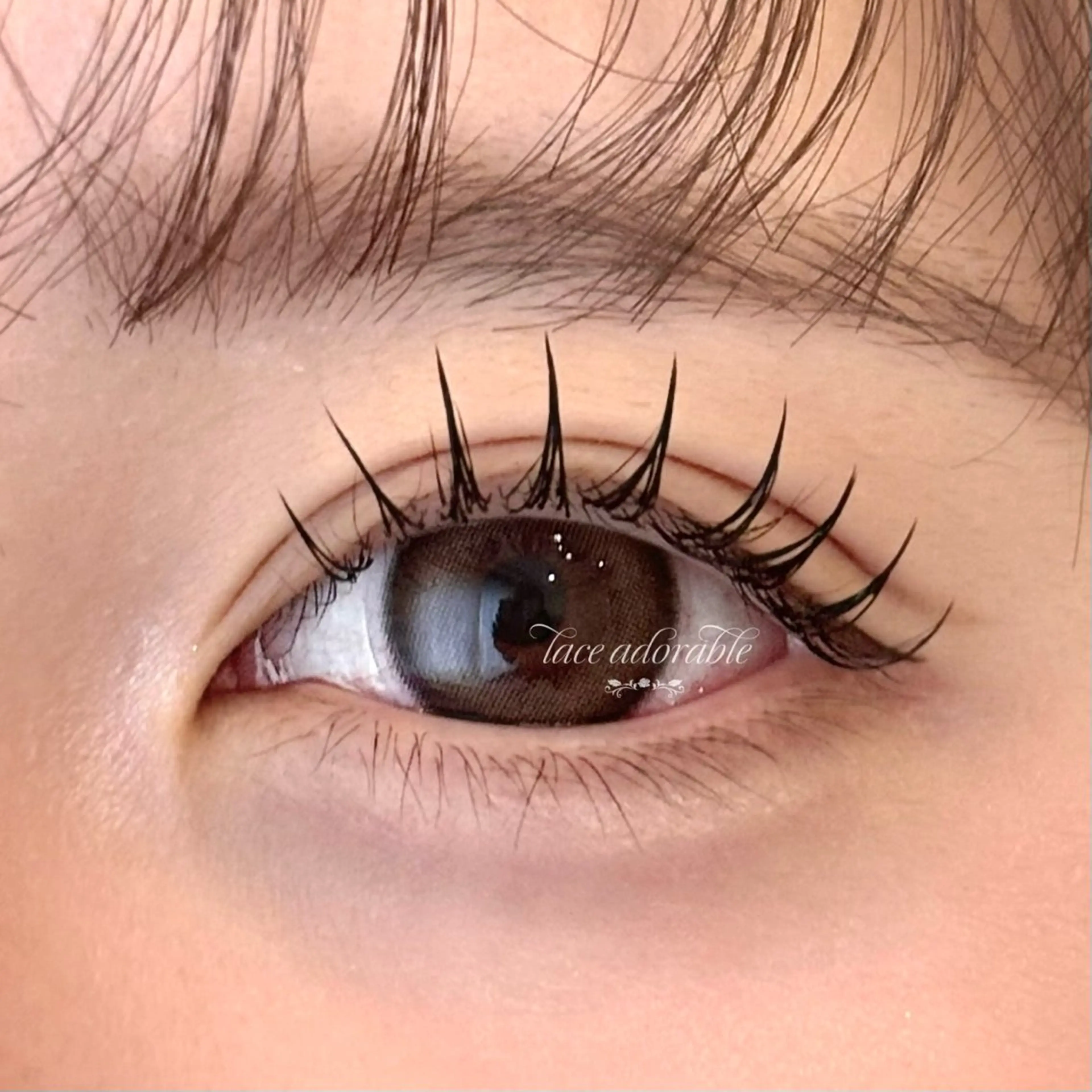 パリエク100本⋆౨ৎ˚⟡( オフ・アイシャンプー込み )の写真