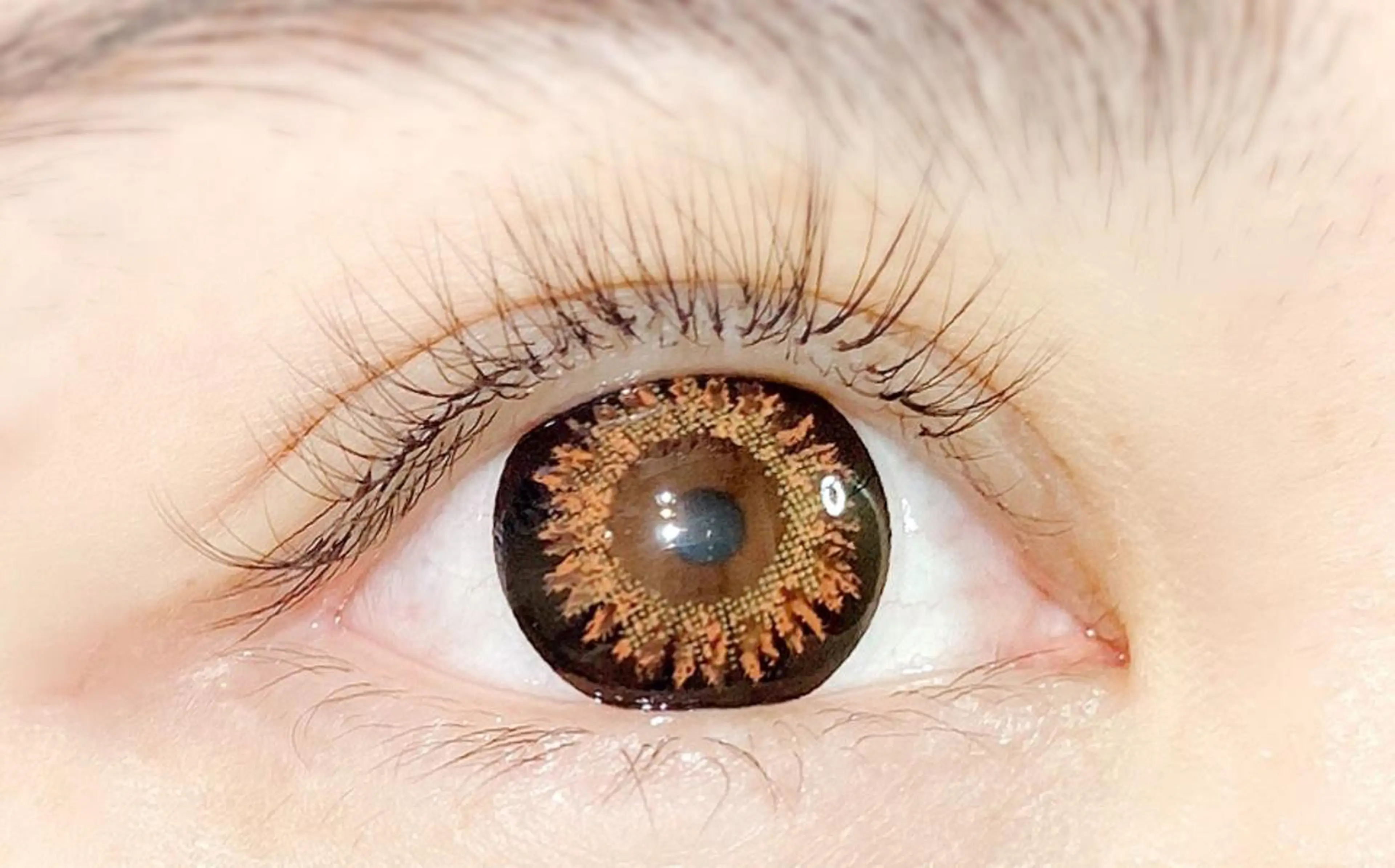 マツエク・マツパ サロン ダリアのマツエク・マツパデザイン