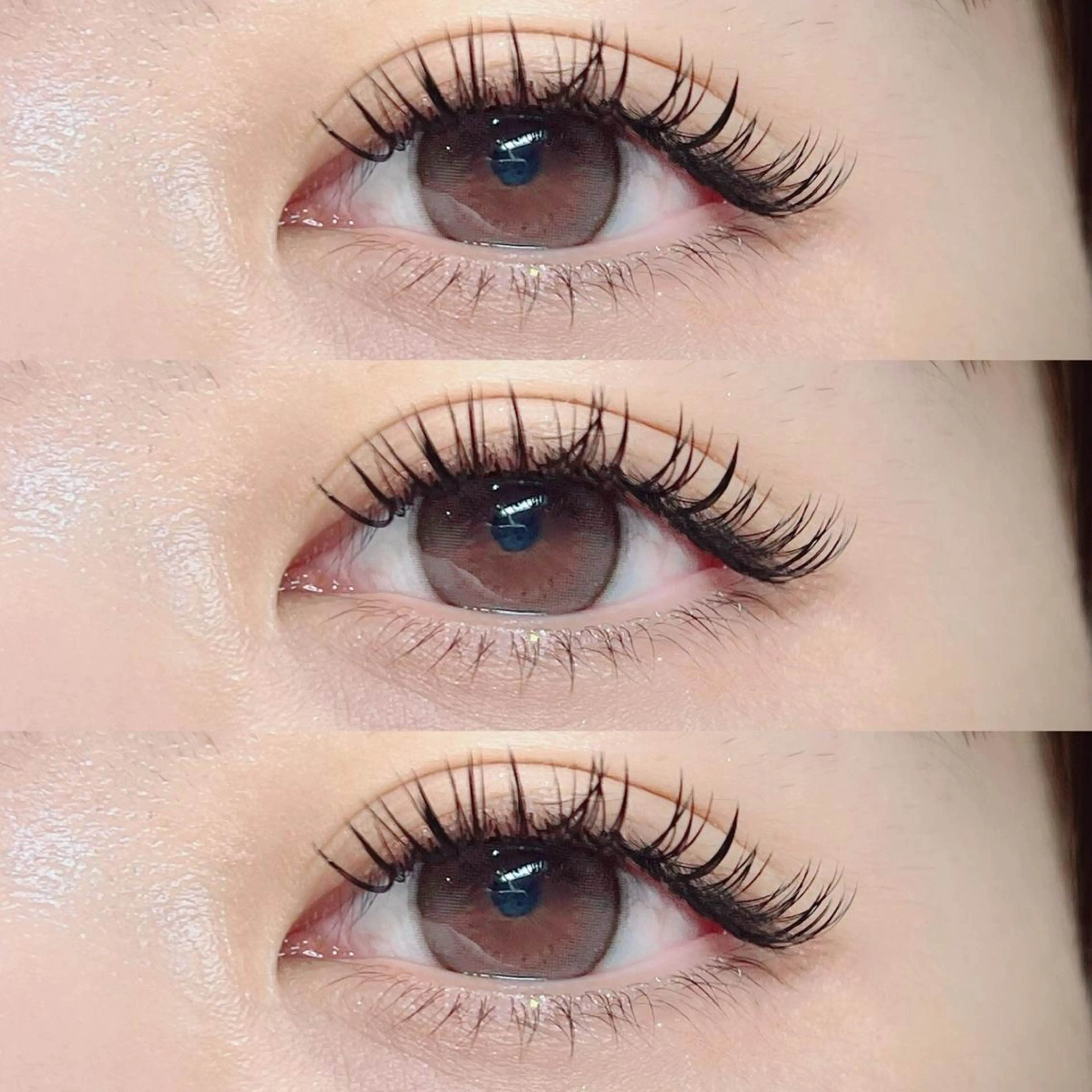 👑持続力No.1👑バインドロック 80束[¥7,000] or 100束[¥8,000]  《再来+500円》の写真