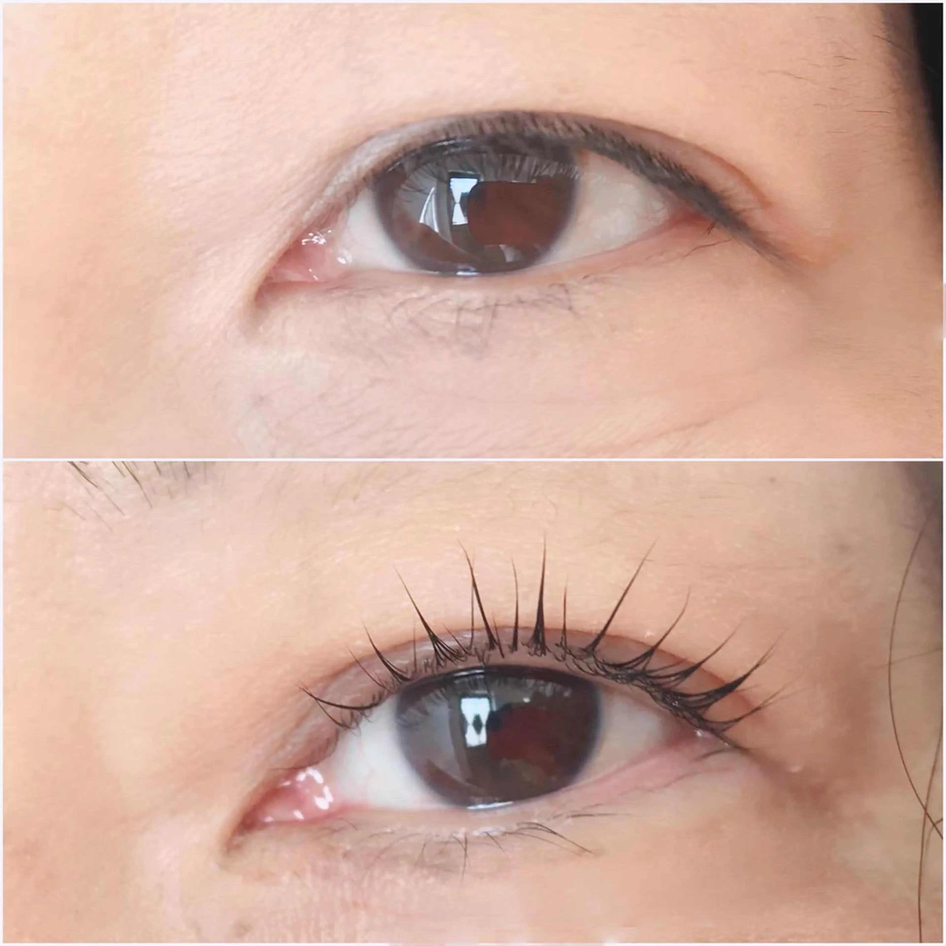 マツエク・マツパ マツパ ｉ Ayanaのマツエク・マツパデザイン