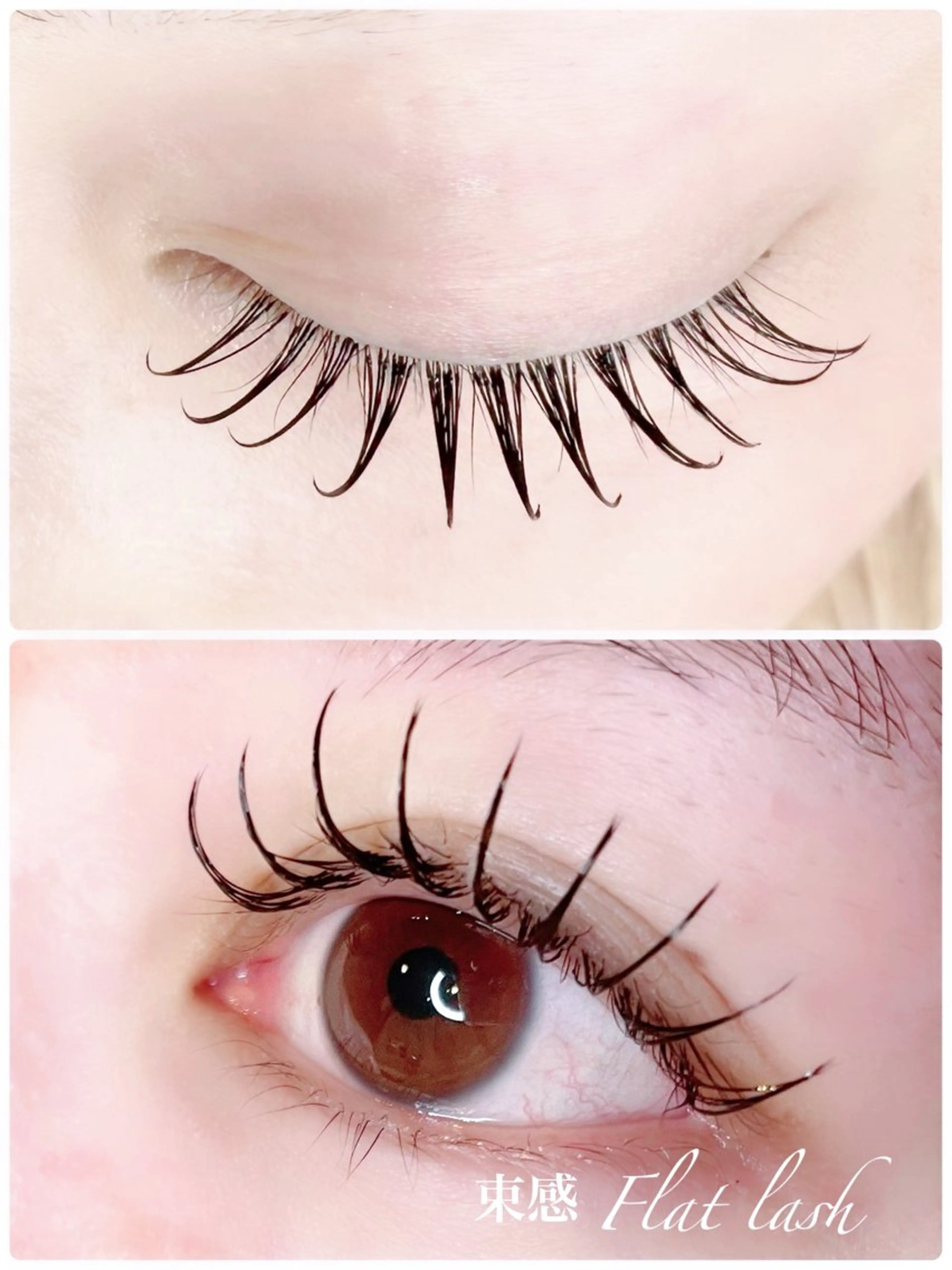 マツエク・マツパ キュート Eyelash  Salon FAXIA大宮店所属・FAXIA Mihoの眉毛・アイブロウイメージ