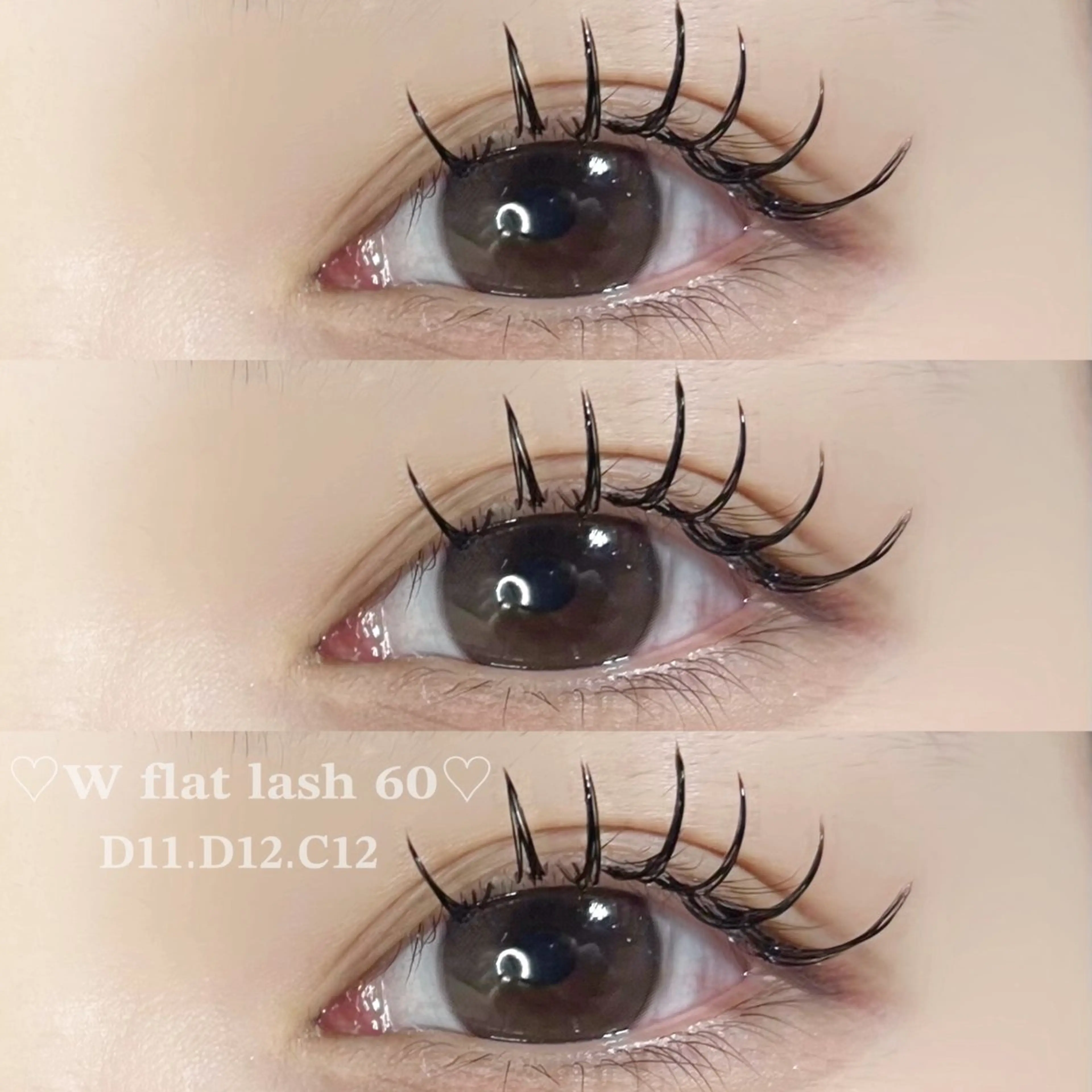 ダブルフラットラッシュ80束(160本)୨🎀୧の写真