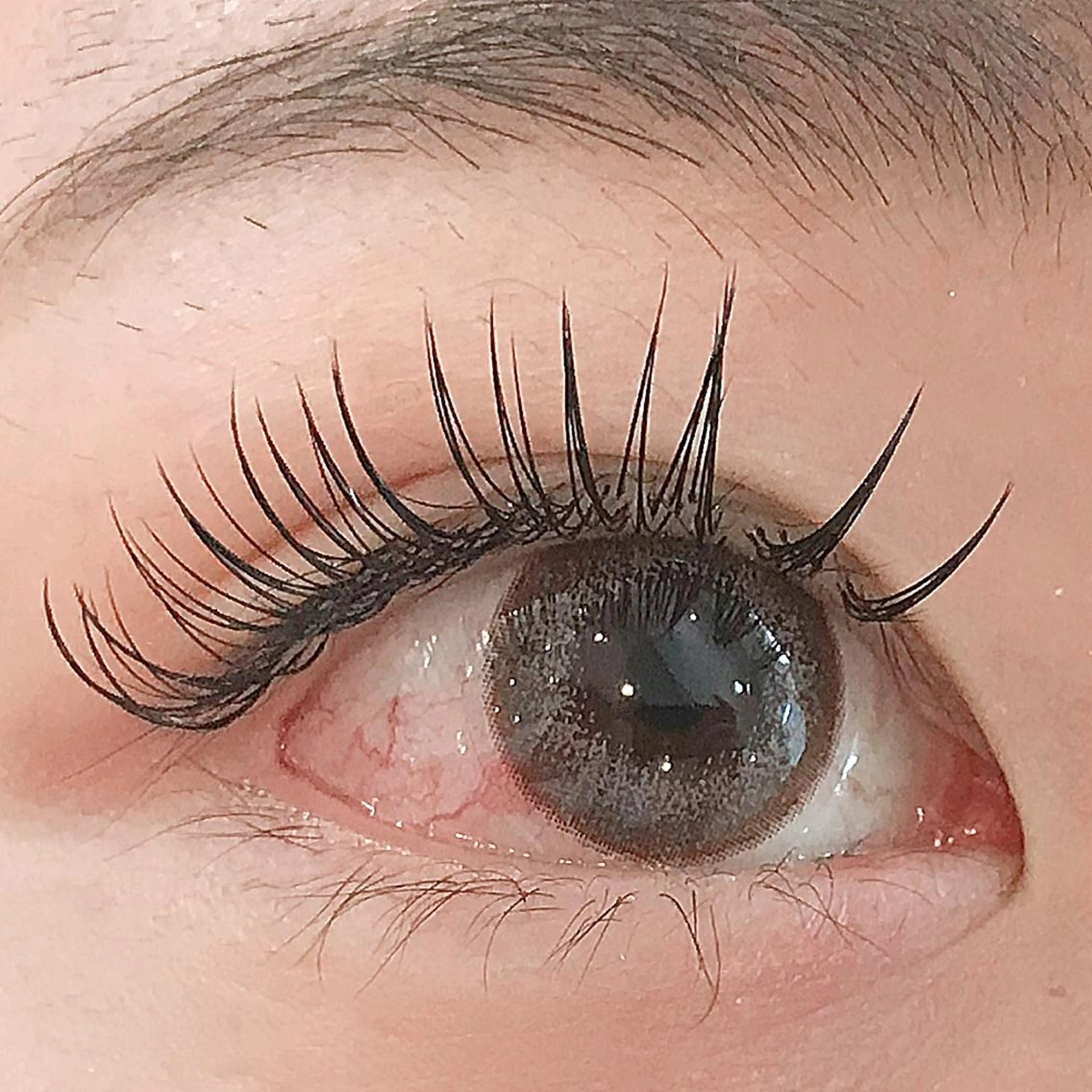 🌸セーブル(60本¥3,500or80本¥4,000)の写真