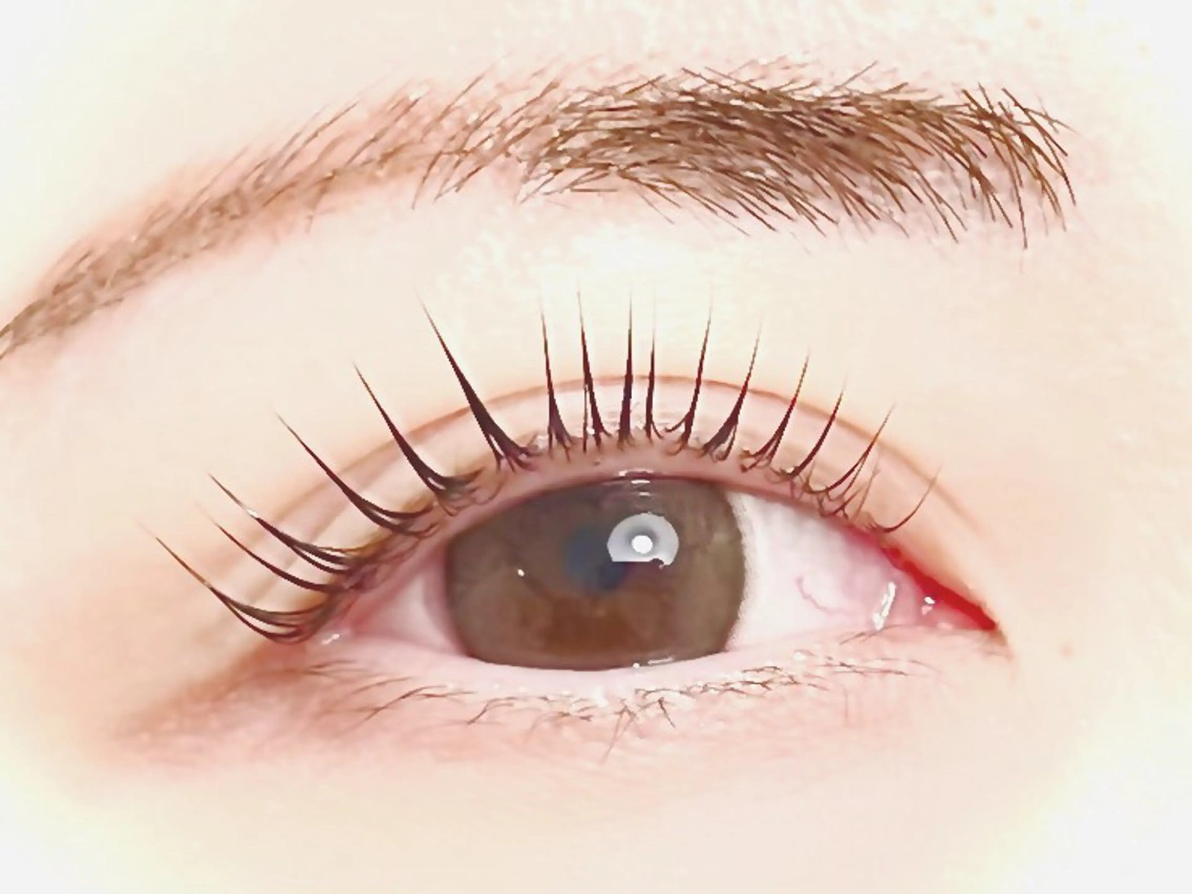 マツエク・マツパ まつ毛パーマ専門店BEAUTYCURL心斎橋店所属・kawabe marimoのマツエク・マツパデザイン