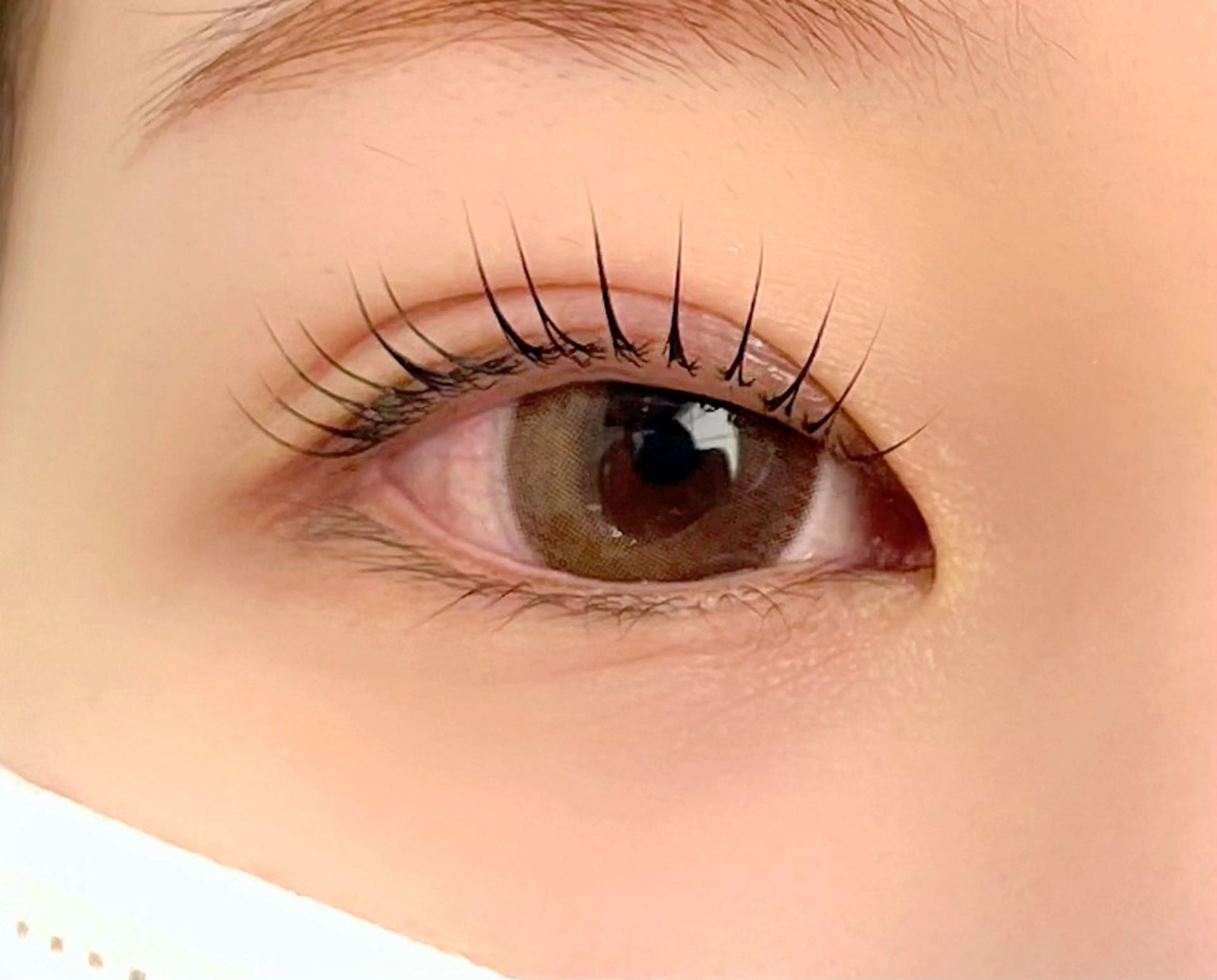 🫧まつ毛パーマモデル🫧コーティング付き🩵【現金支払いのみ】の写真