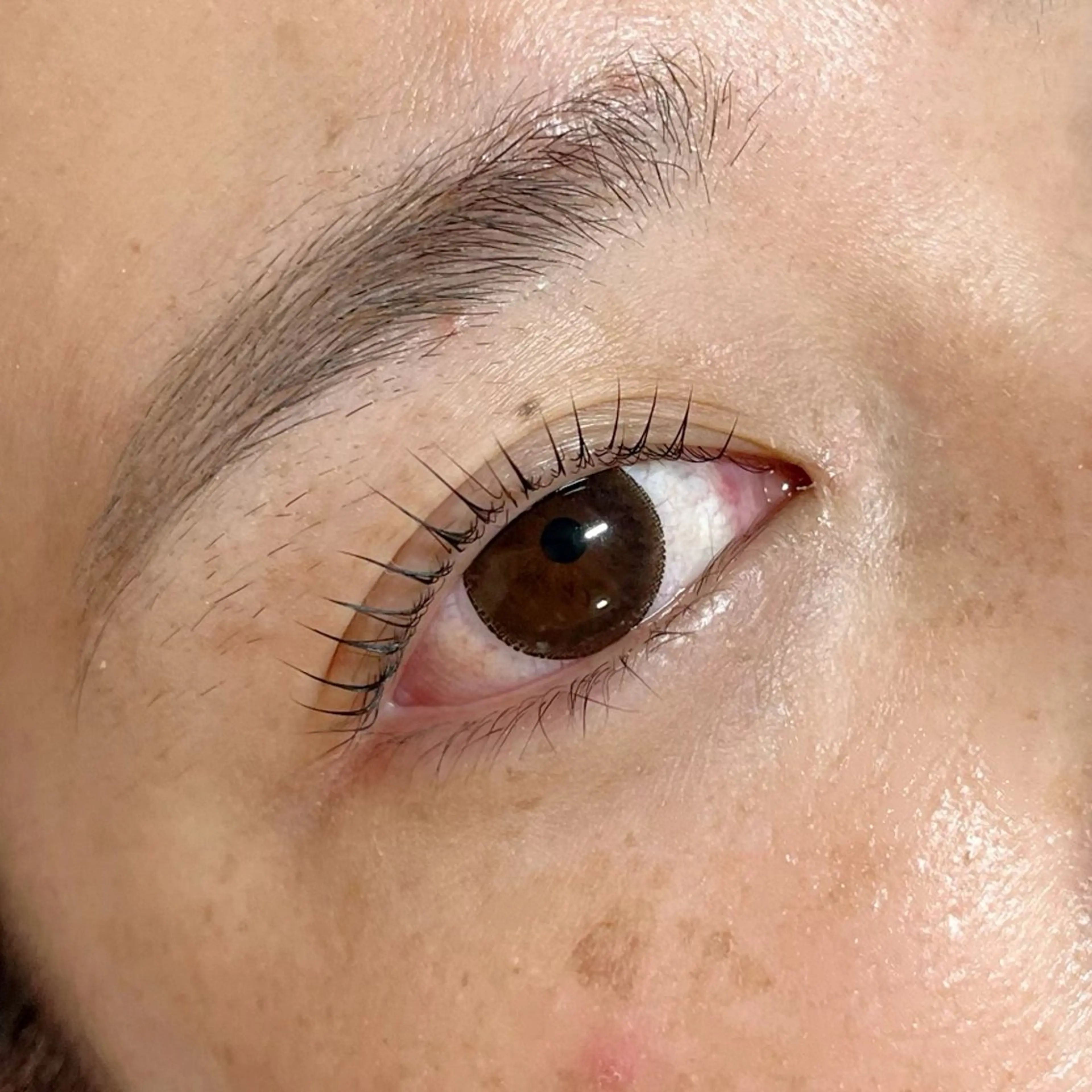 マツエク・マツパ マツパ Li-Fra NAGARASAYAのマツエク・マツパデザイン