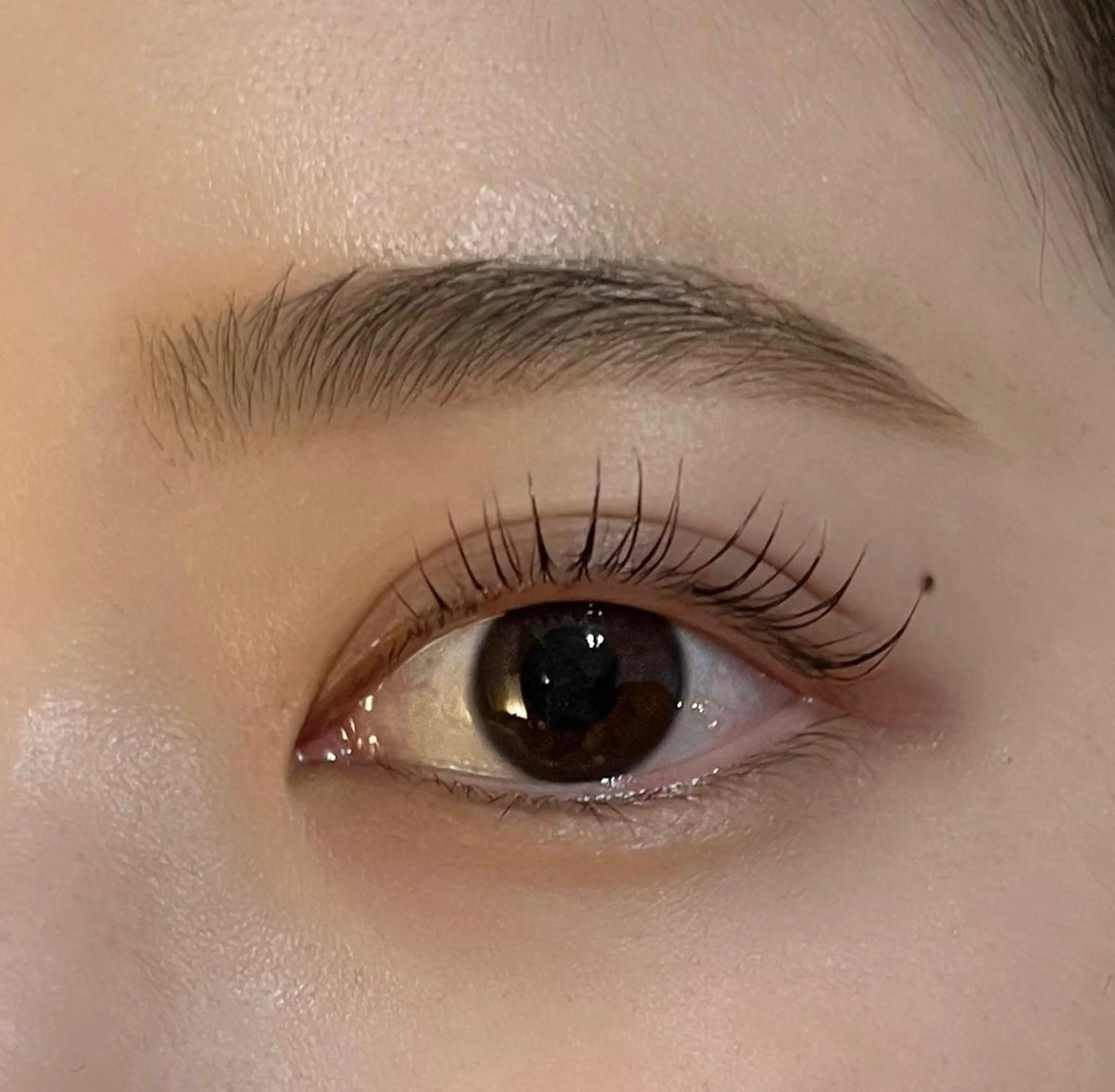 【初回】美眉毛+パリジェンヌラッシュリフト/13200→10450の写真