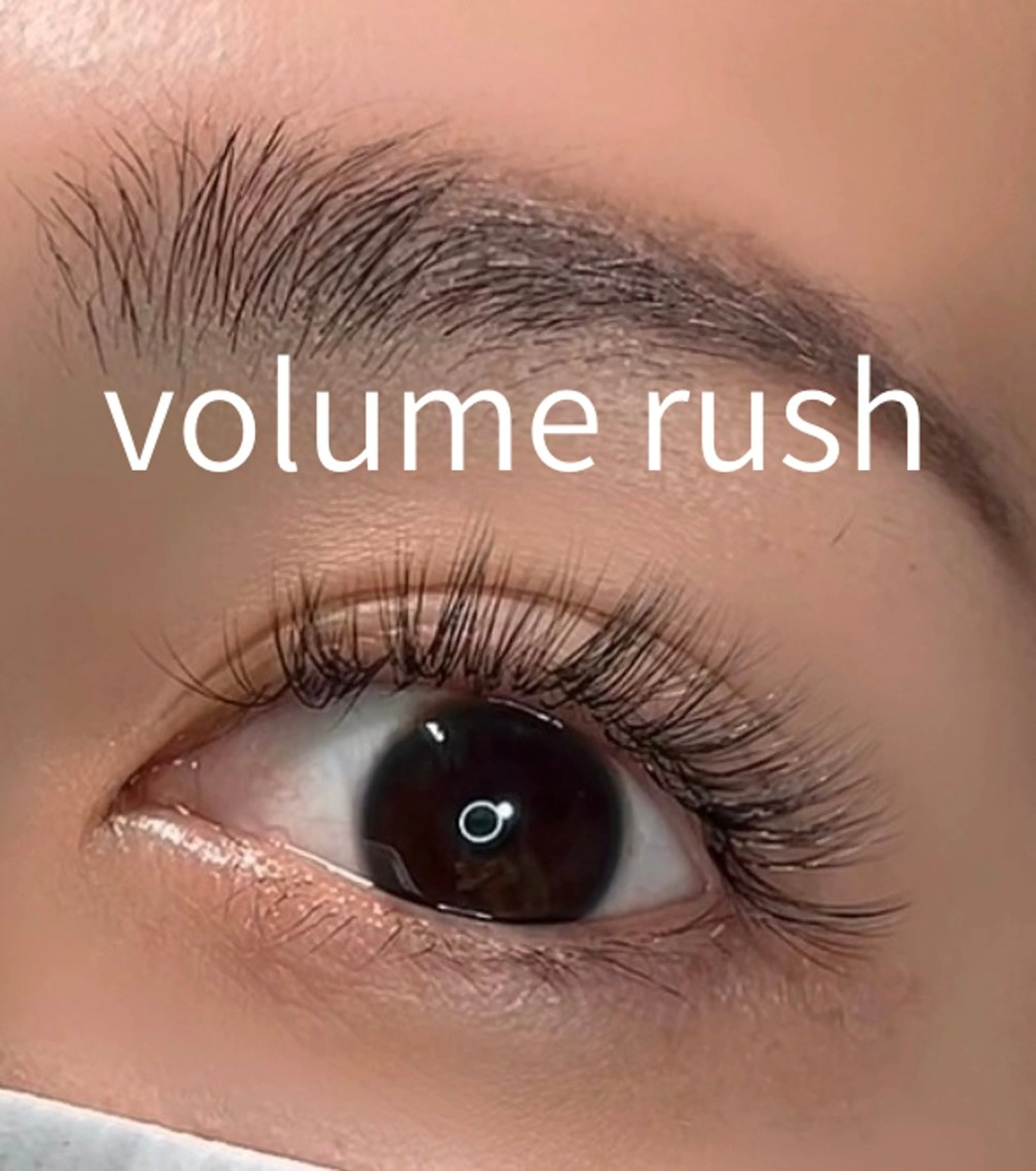 ボリュームラッシュ120束の写真