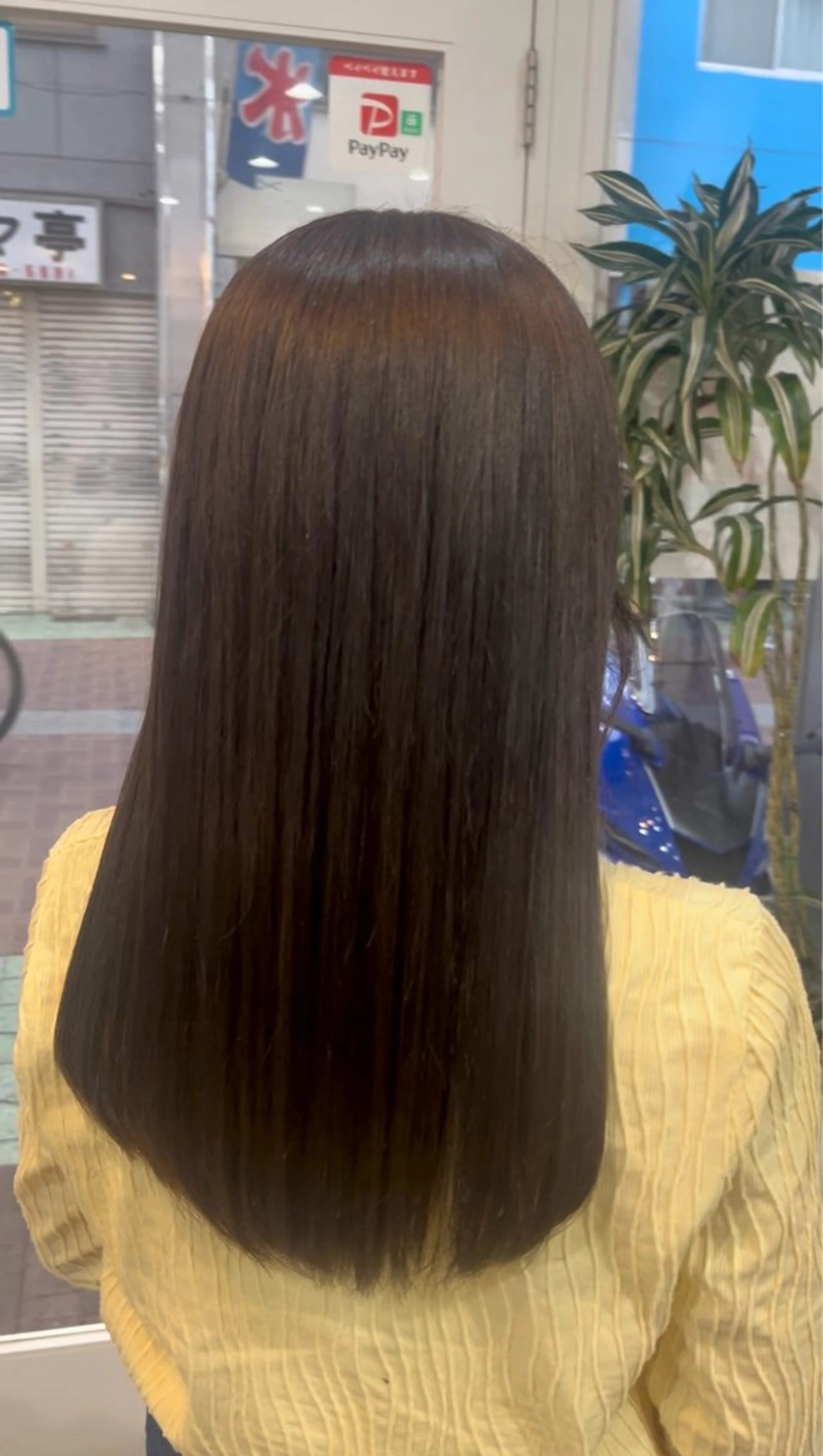 カラー アッシュ 透明感カラー カット ヘアカラー トリートメント 艶髪🥣透明感カラー 🫧前田奈津実のヘアスタイル