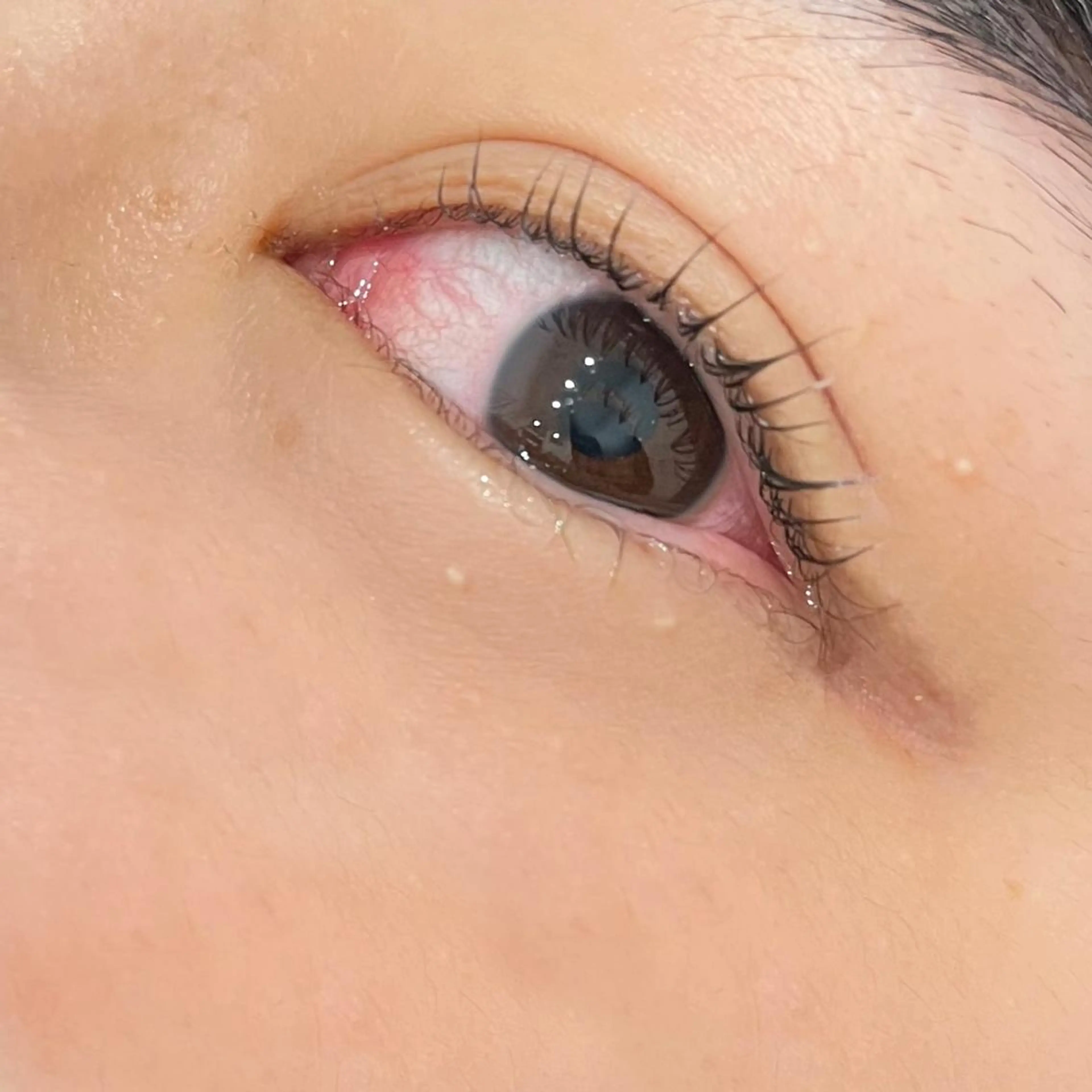 マツエク・マツパ eclipse shinoのマツエク・マツパデザイン