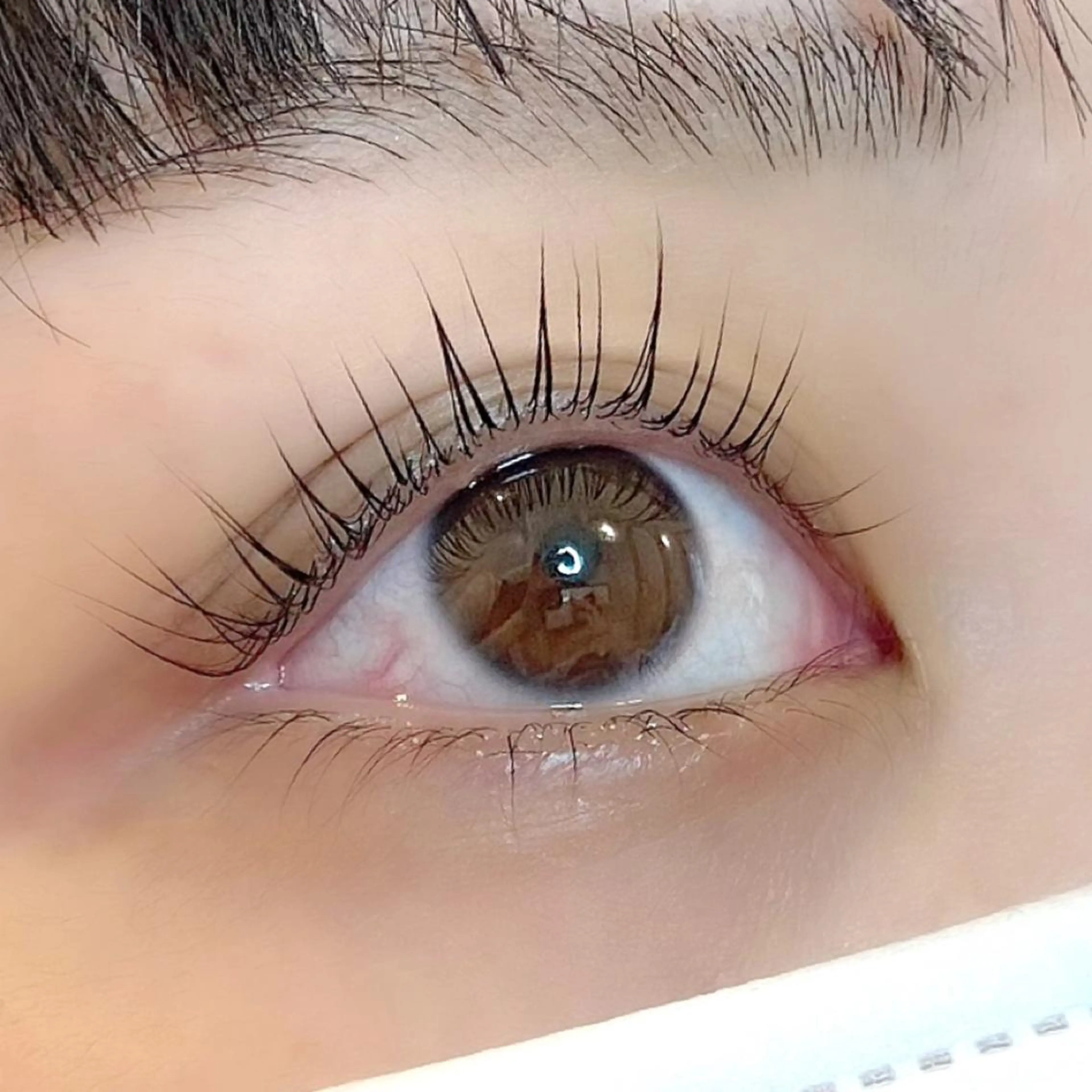 マツエク・マツパ パリジェンヌラッシュリフト 🍒Anela 神田ゆか🍒の眉毛・アイブロウイメージ