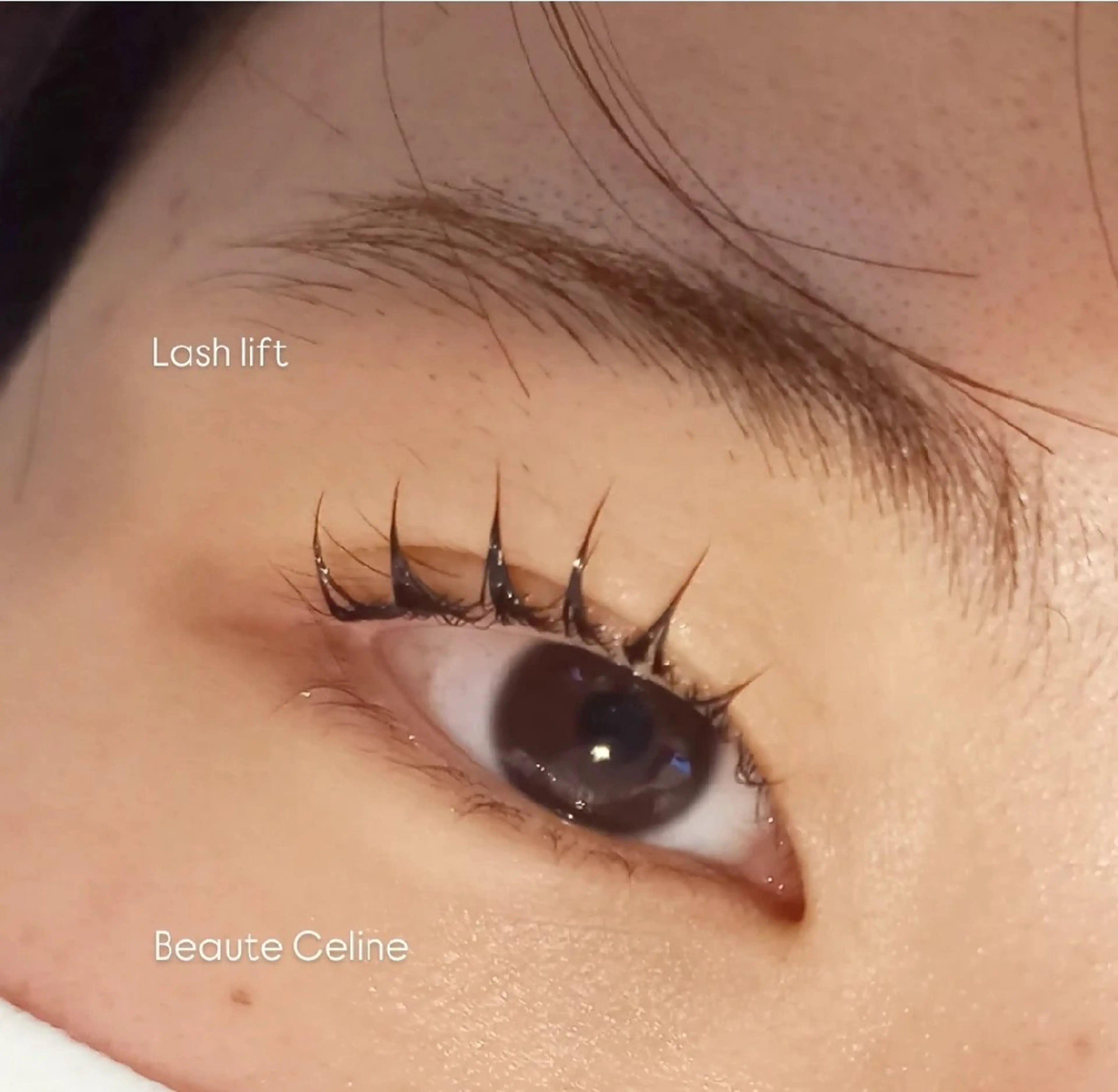 マツエク・マツパ 束感まつ毛 マツパ beaute.celine所属・ぱっちりパーマ🤎 ﾎﾞｰﾃCelineのマツエク・マツパデザイン