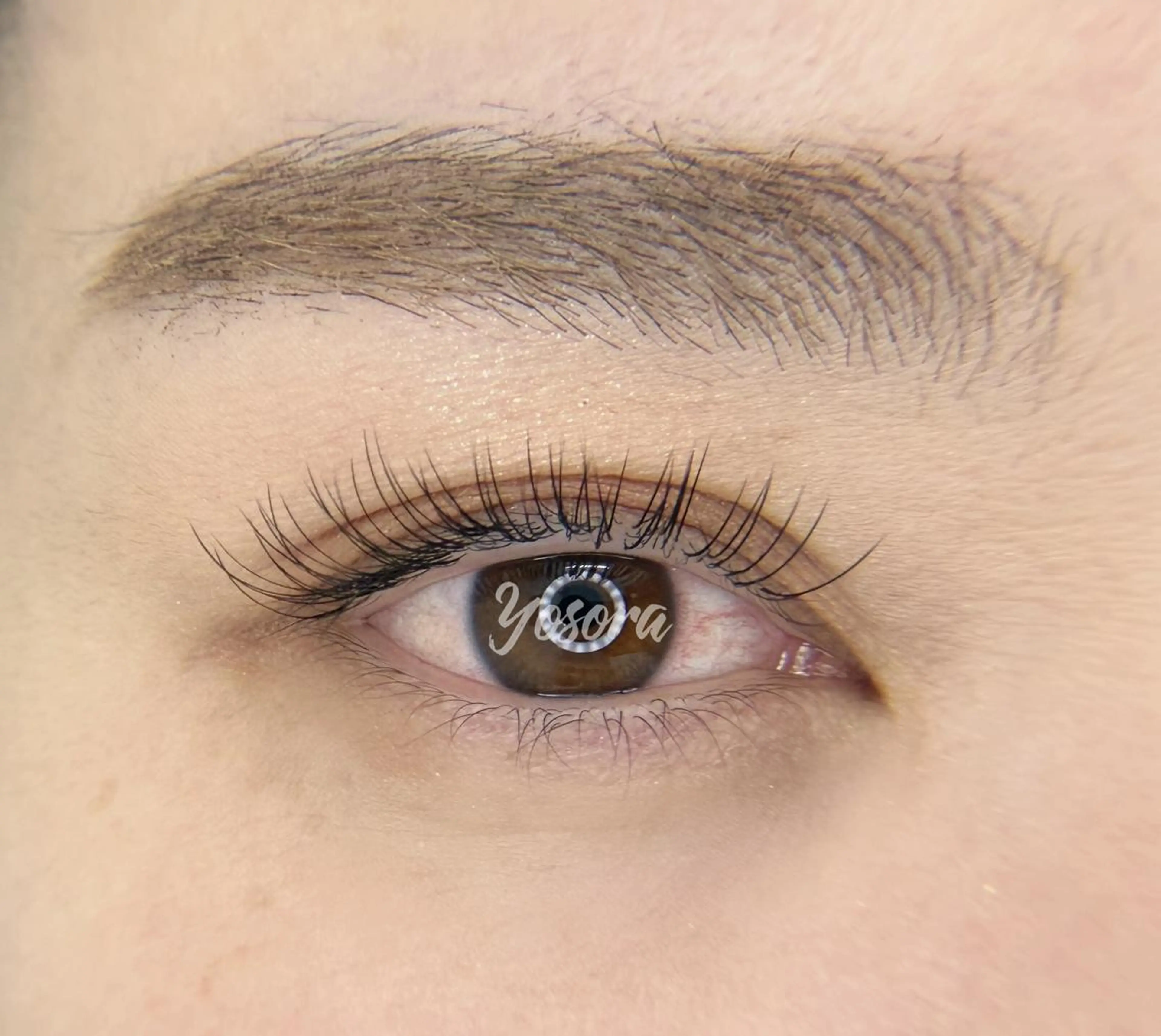 アイブロウ マツエク Yosora salonのマツエク・マツパデザイン
