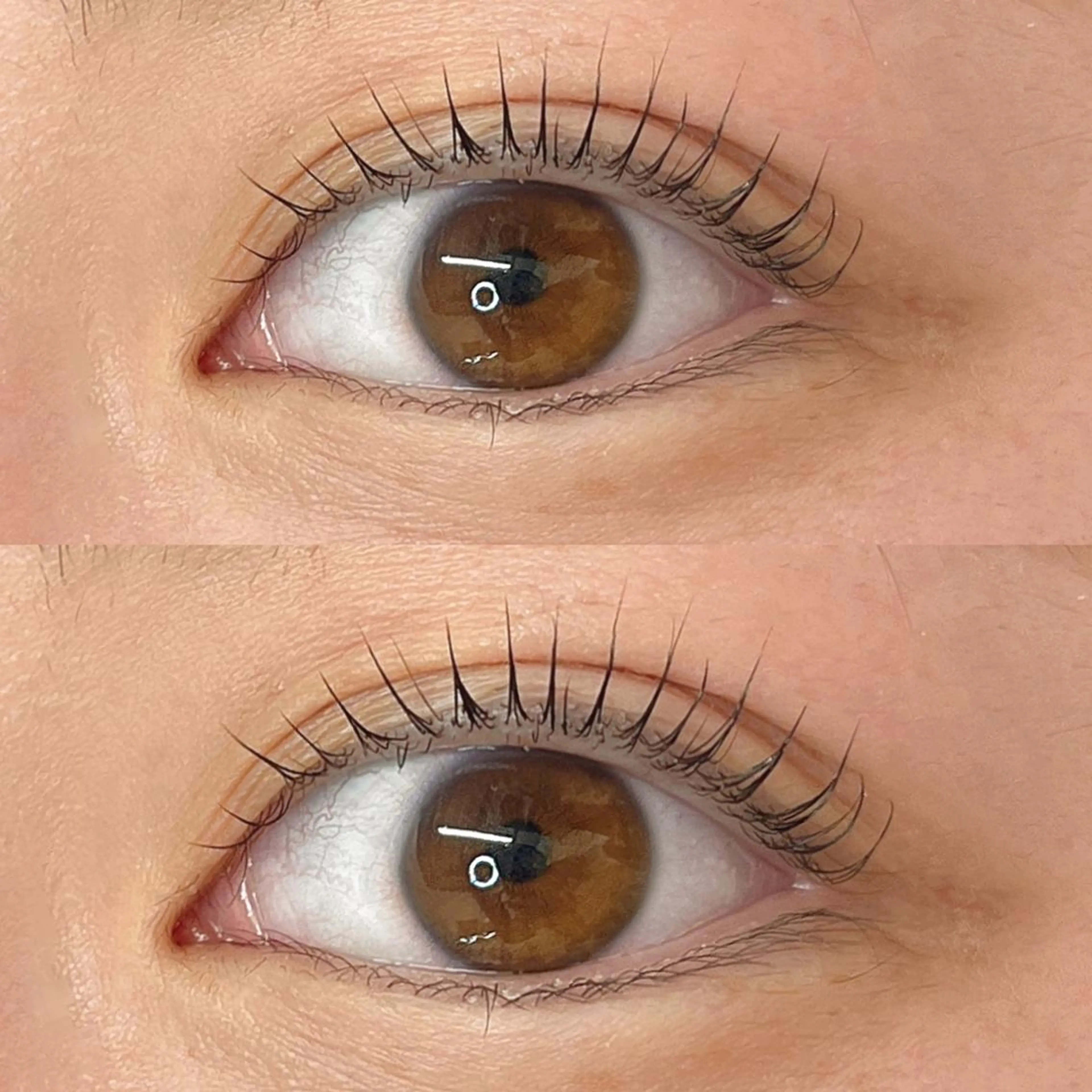 🎀パリジェンヌラッシュリフト🎀の写真