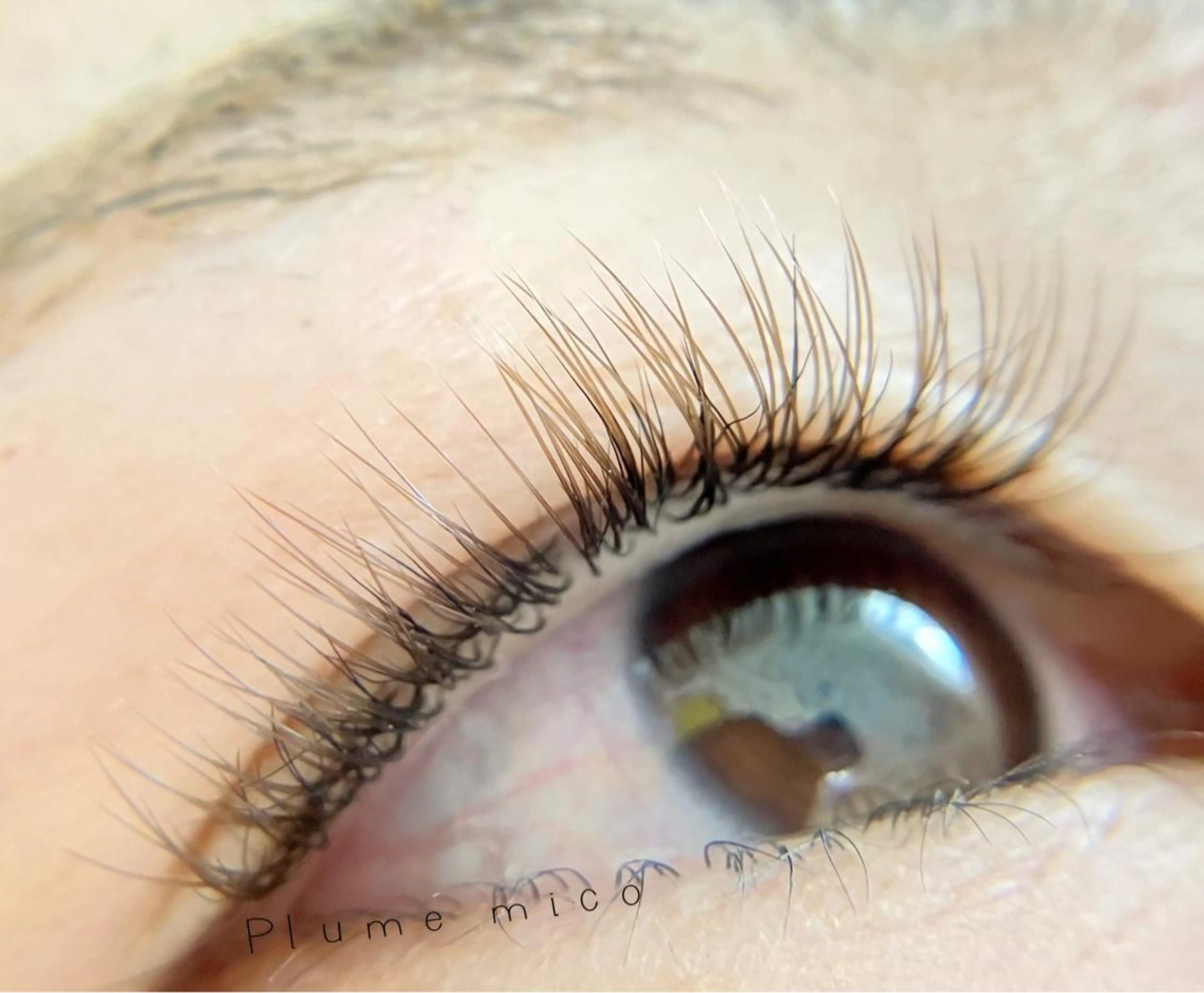 マツエク・マツパ マツエク Plume micoのマツエク・マツパデザイン