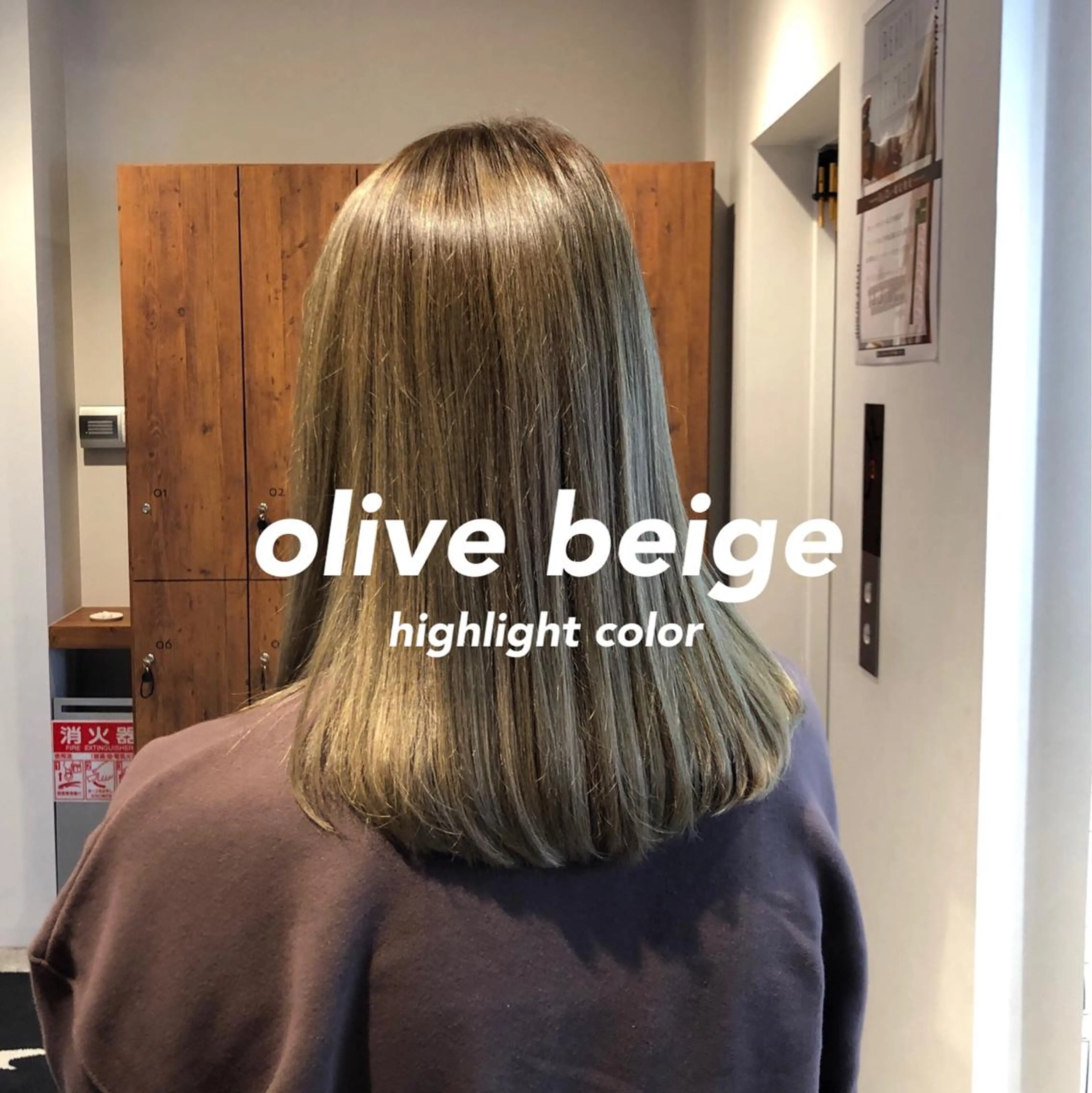 セミロング カラー レイヤー,ボブ / 彩未のヘアスタイル