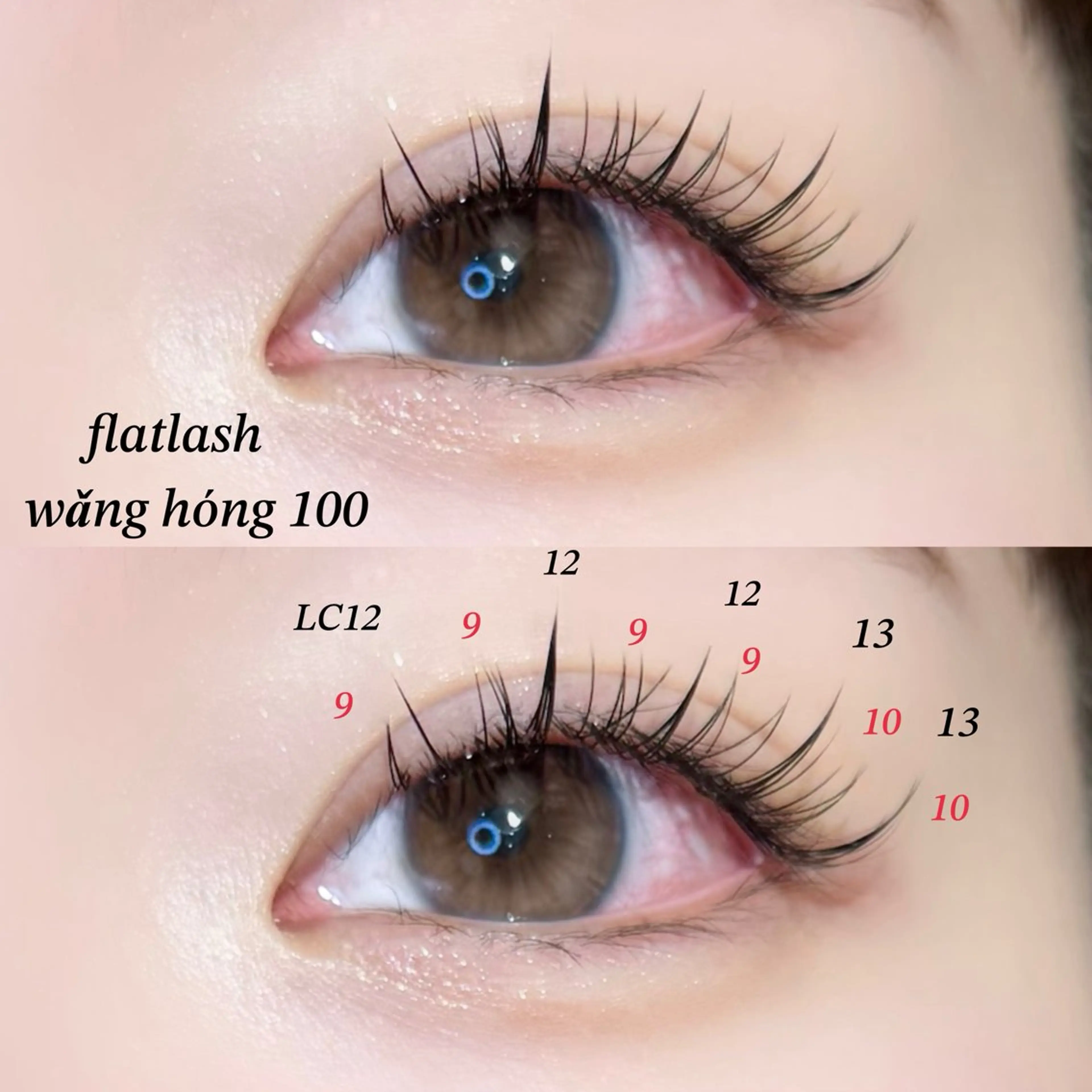 シングルワンホンエクステ【100本】🧸リペア不可⚠︎︎オフ代¥550⚠︎︎LEDグルー変更¥1100の写真