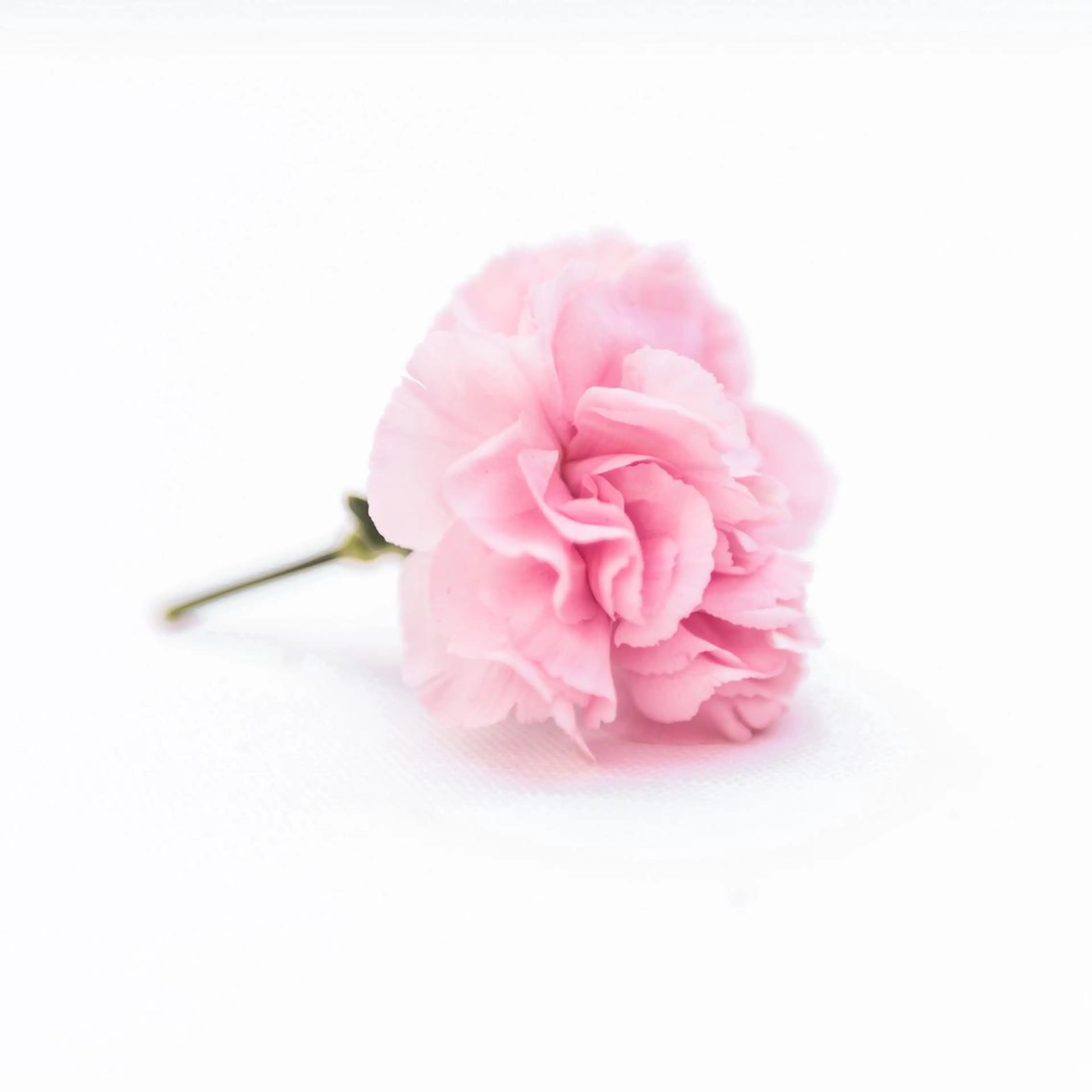 TIÁM eyelashのマツエク・マツパデザイン