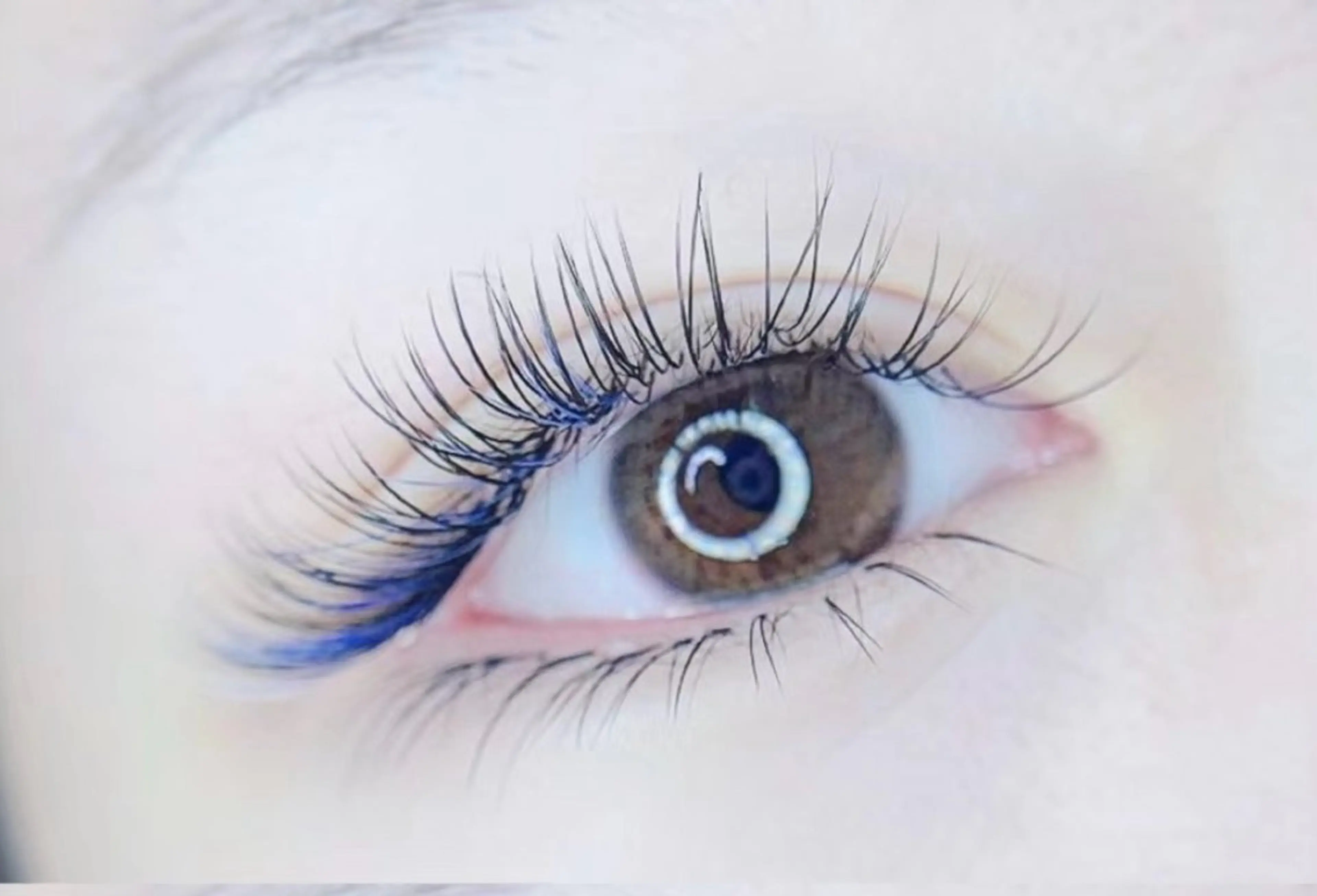 （🍬オフ無料🍬）フラットラッシュ上80本+カラーマツエク20本♪何色でもMAX可能🌸コーティング付き🌸の写真