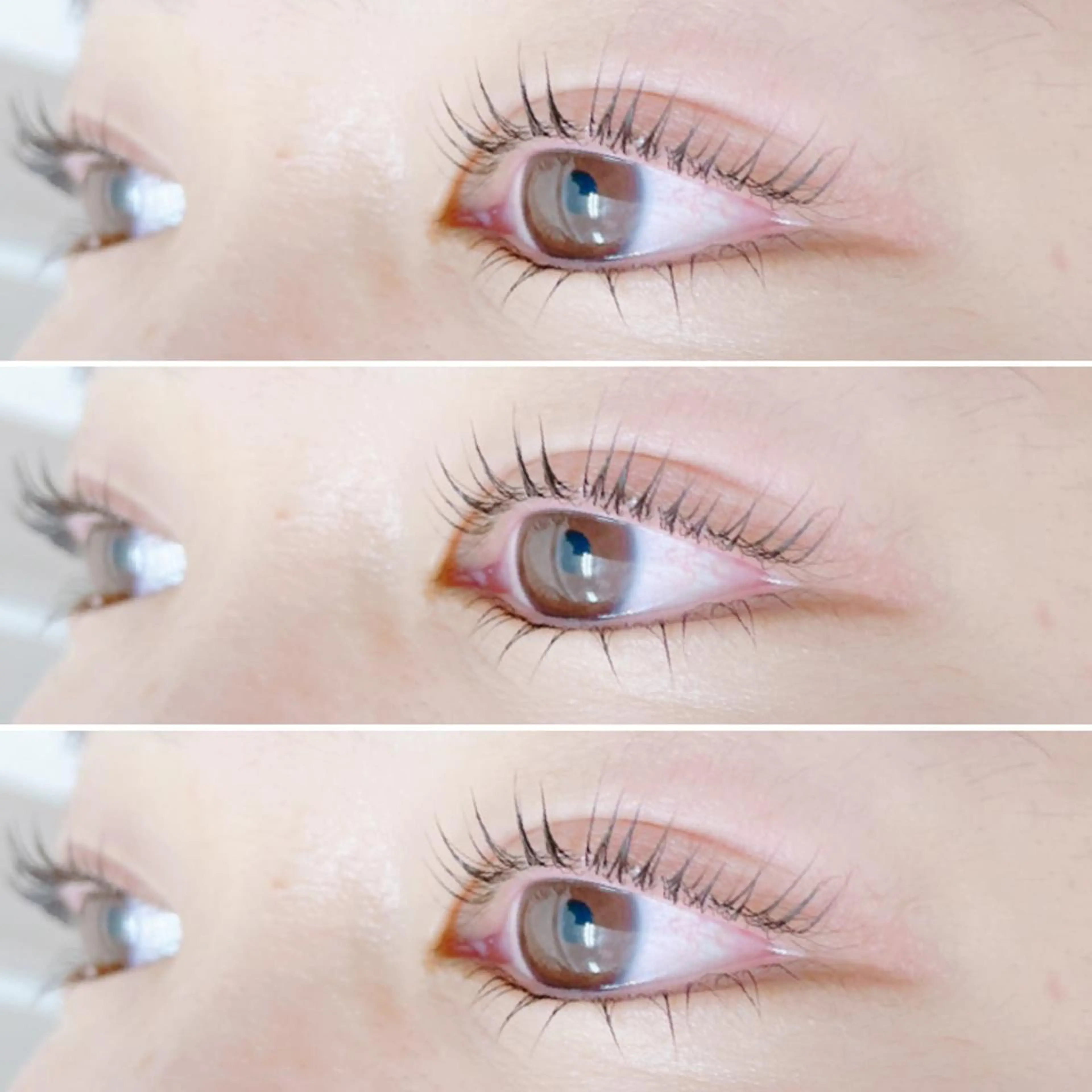 再来🐝パリジェンヌの写真