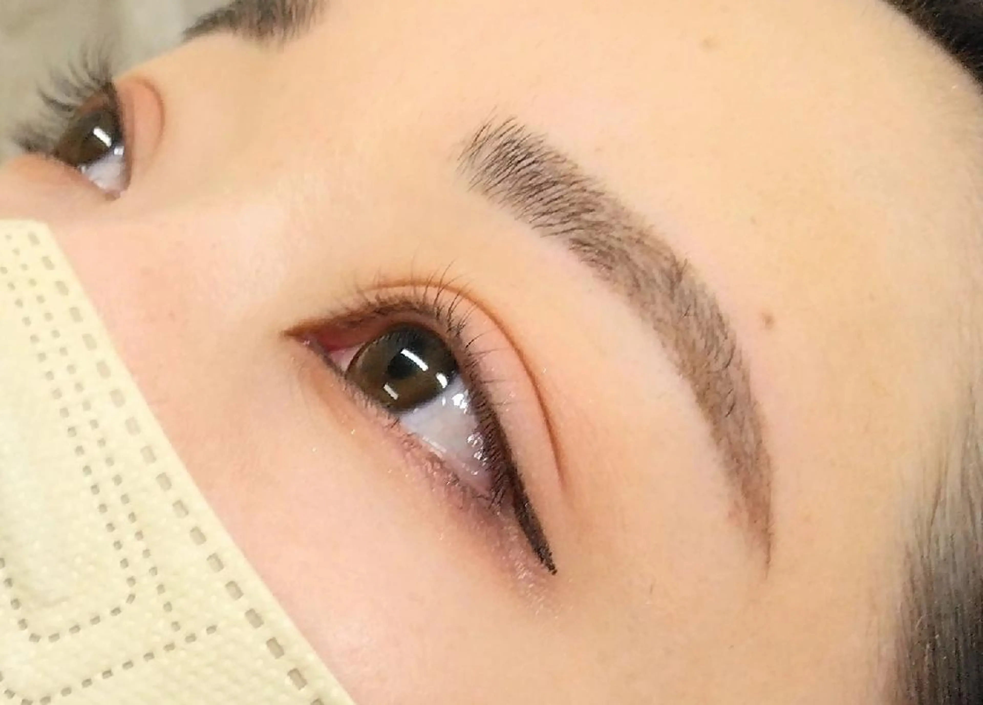 アイブロウ 眉毛&まつげ ☆Dianaの眉毛・アイブロウイメージ