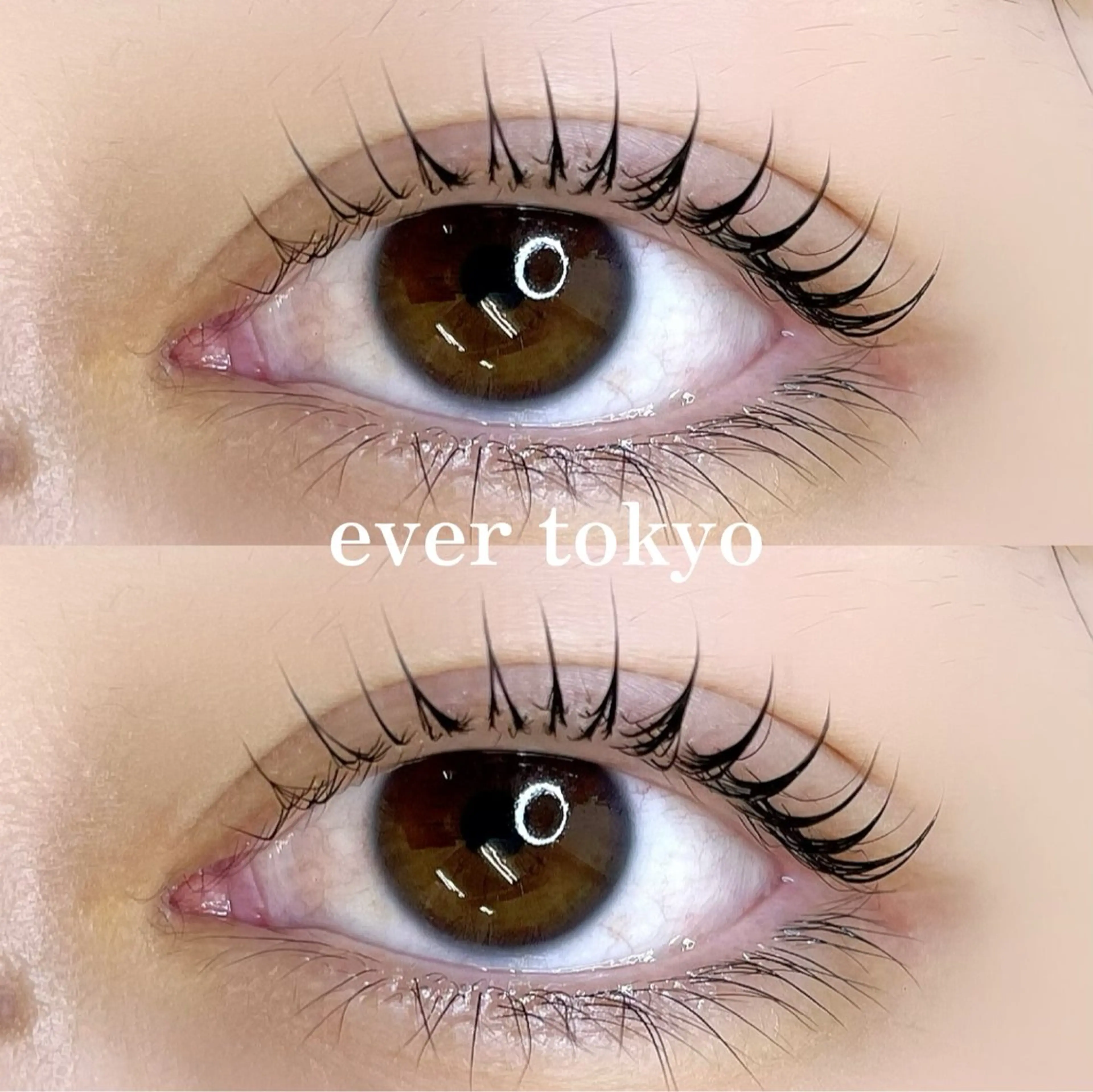 マツエク・マツパ Dカール alicetokyo 天神店のマツエク・マツパデザイン