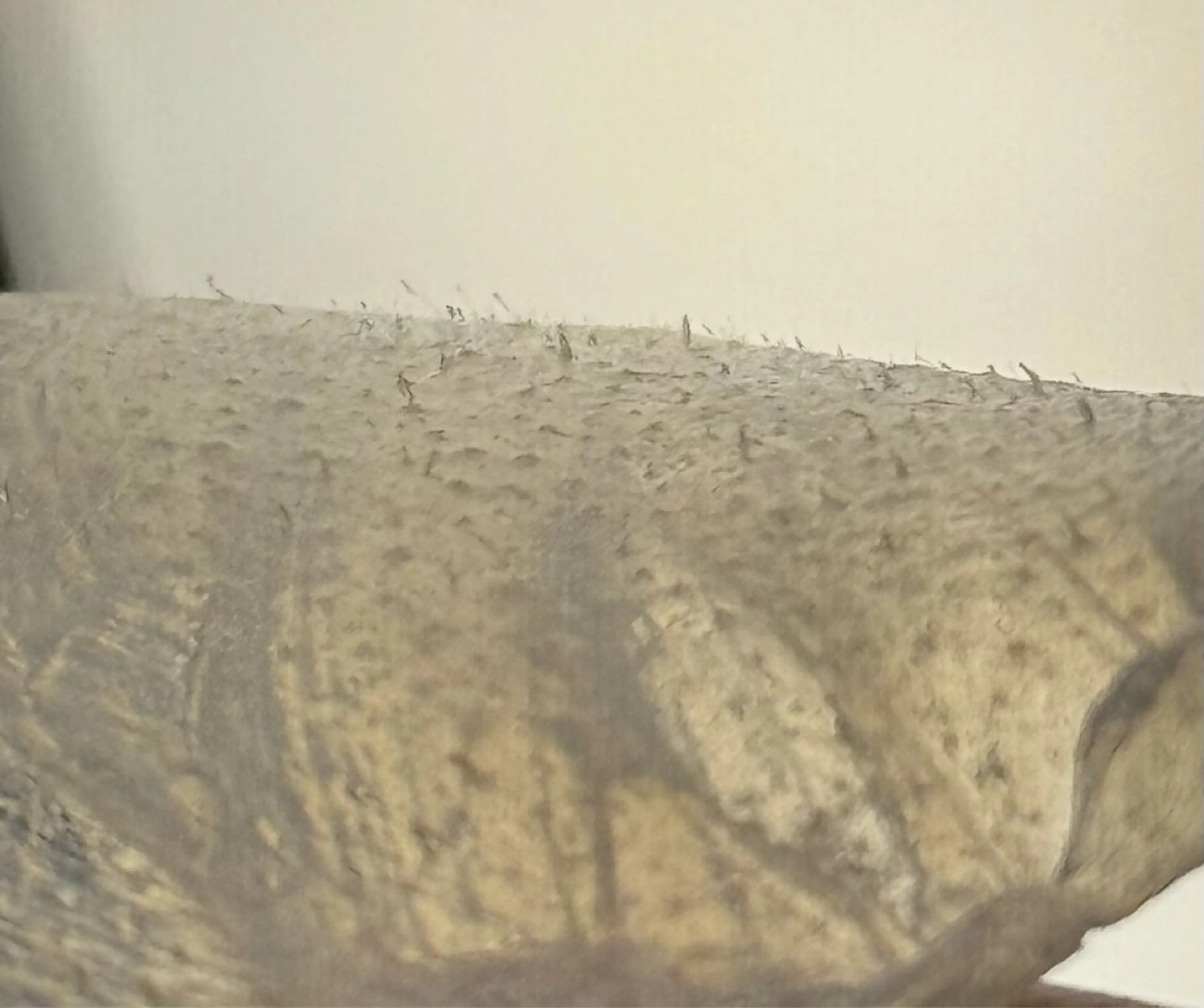 Lala Beautyのエステ・リラクイメージ