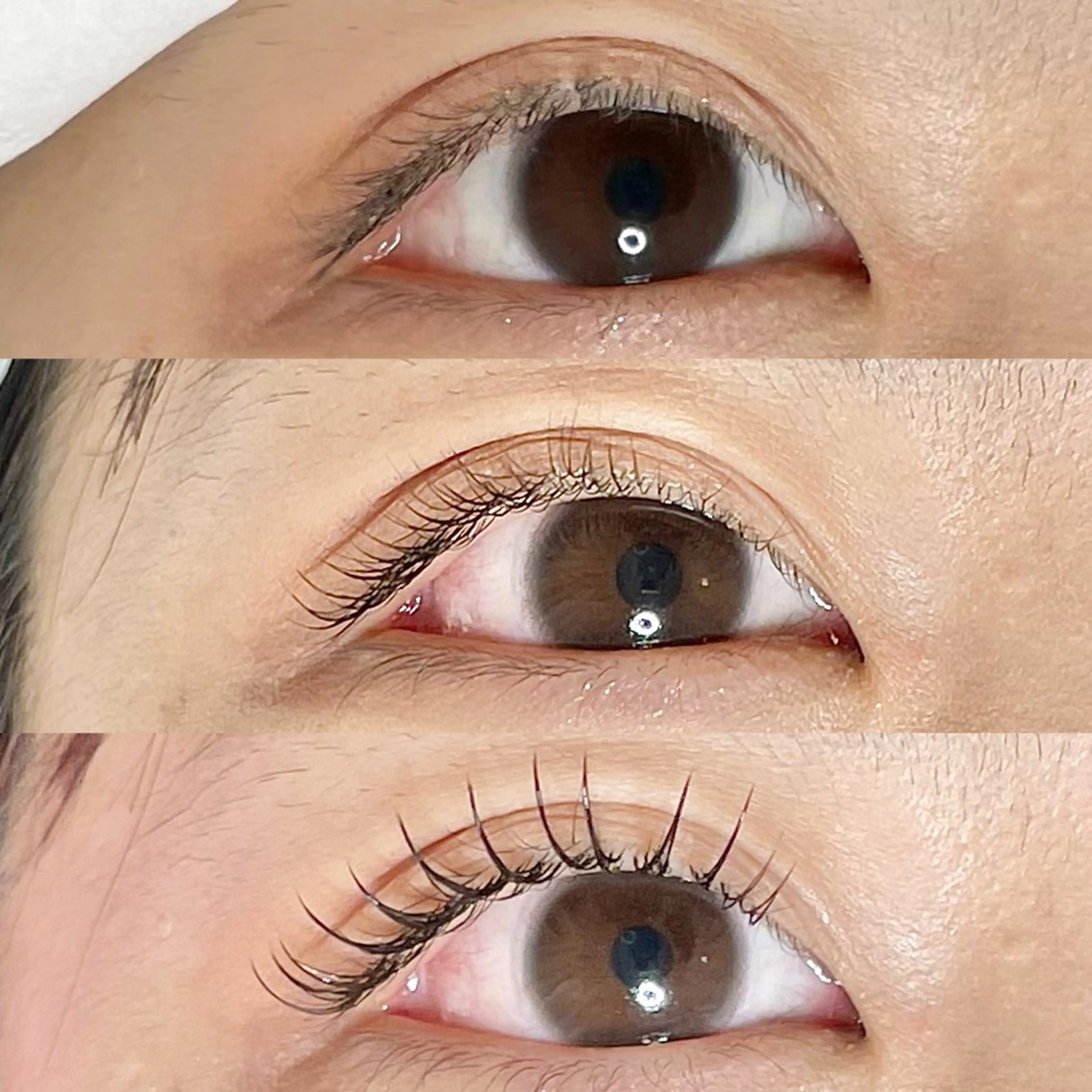 マツエク・マツパ AYLASH🧡 猪又のマツエク・マツパデザイン