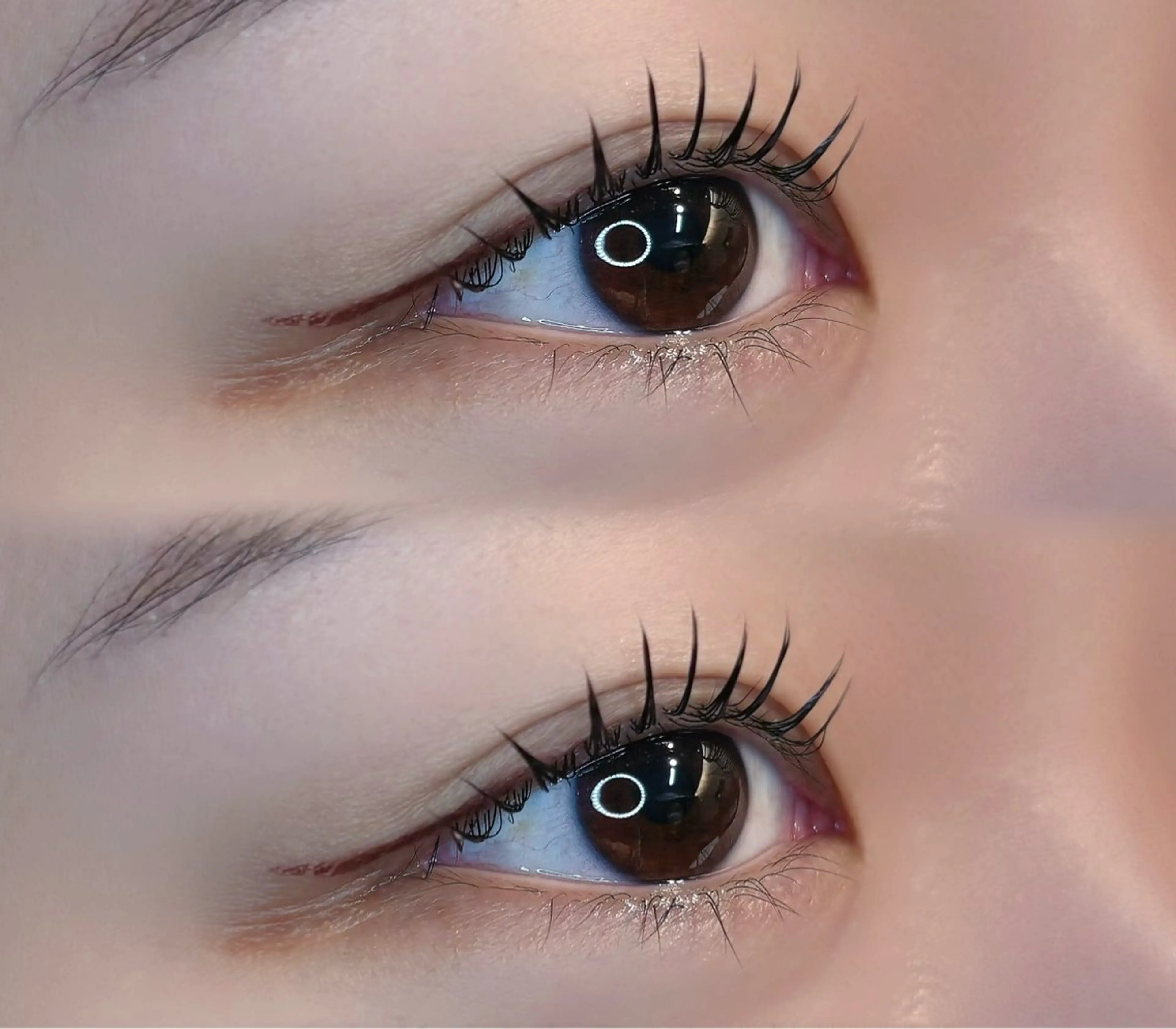 ＼ 大人気 ／🩵【ラッシュリフトorパリジェンヌ】トリートメント付‼️の写真