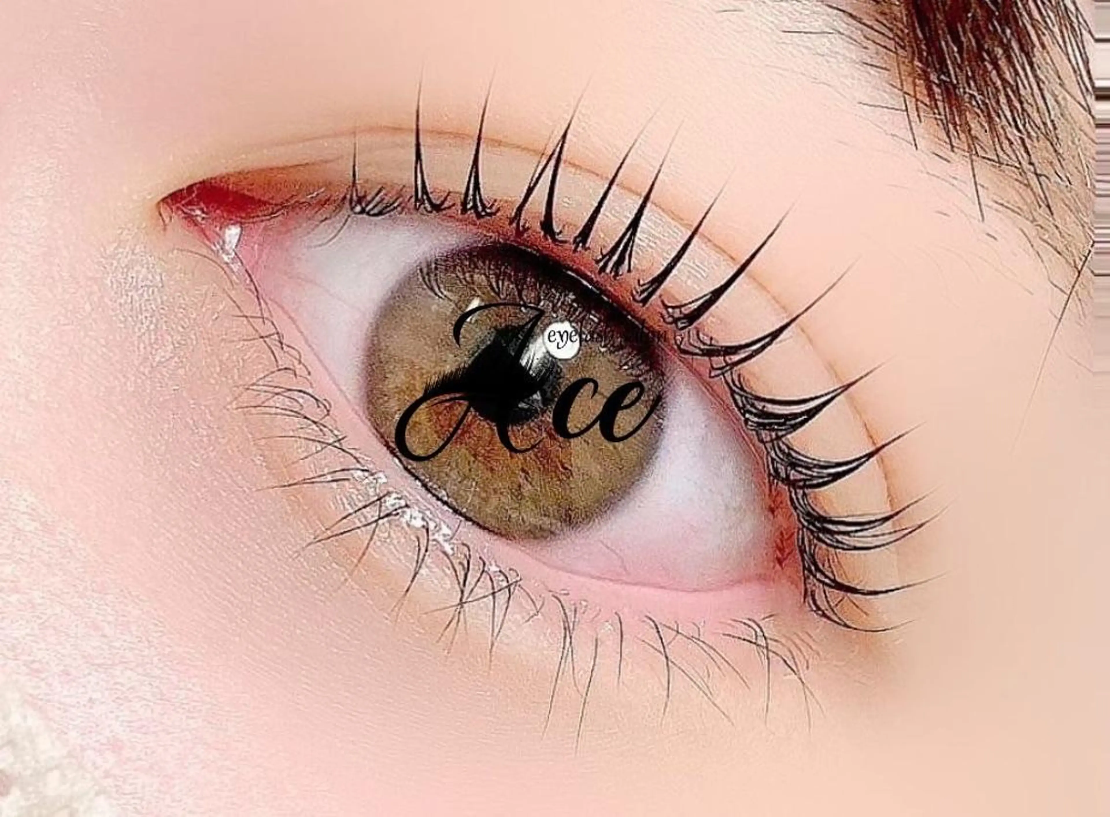 【✨ヒト幹細胞+トリートメント+コーティング付✨】パリジェンヌorデザインまつげパーマ❣️ 6,580円[銀座・東銀座]の写真