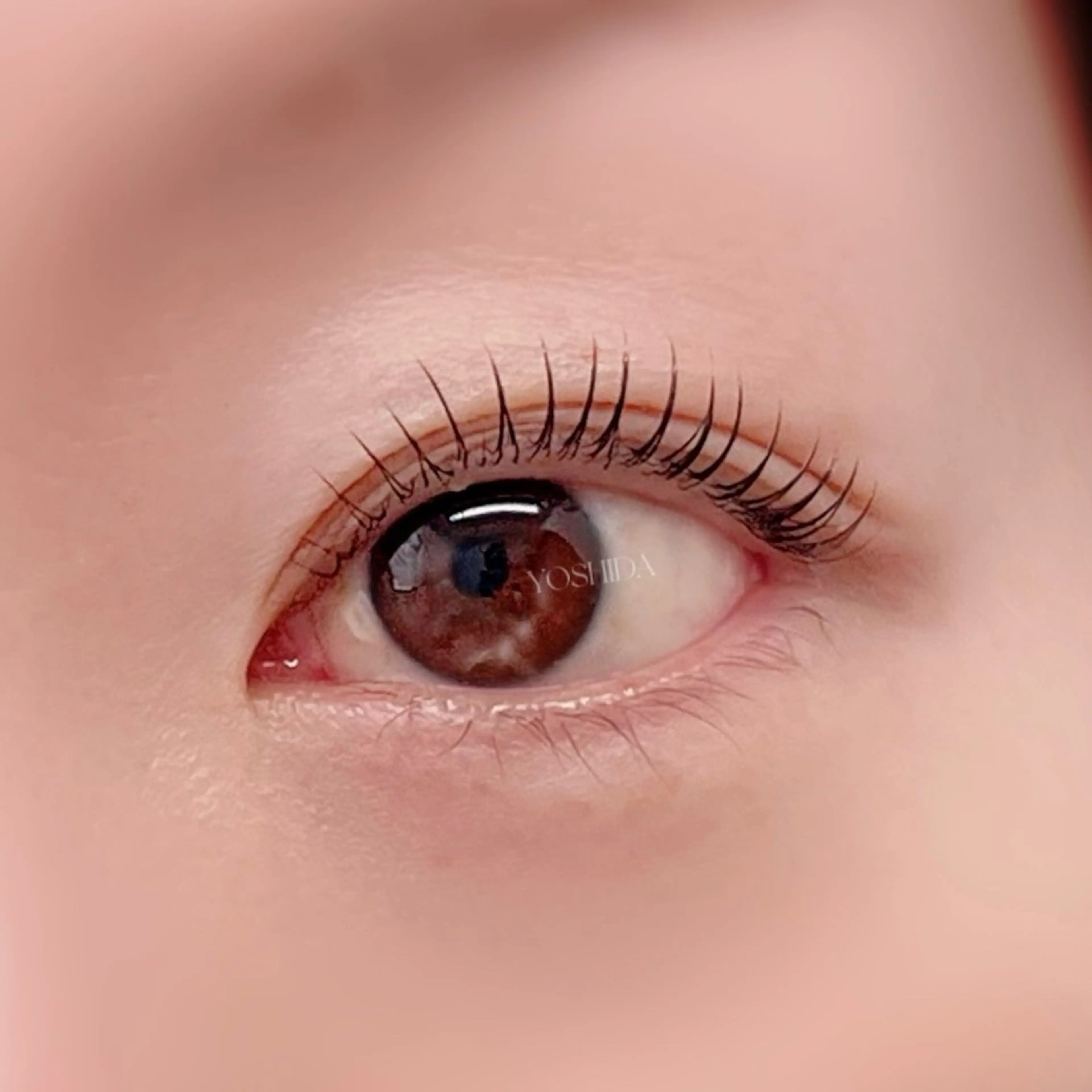 マツエク・マツパ マツパ 【一重┊︎奥二重】 YOSHIDA🌙のマツエク・マツパデザイン