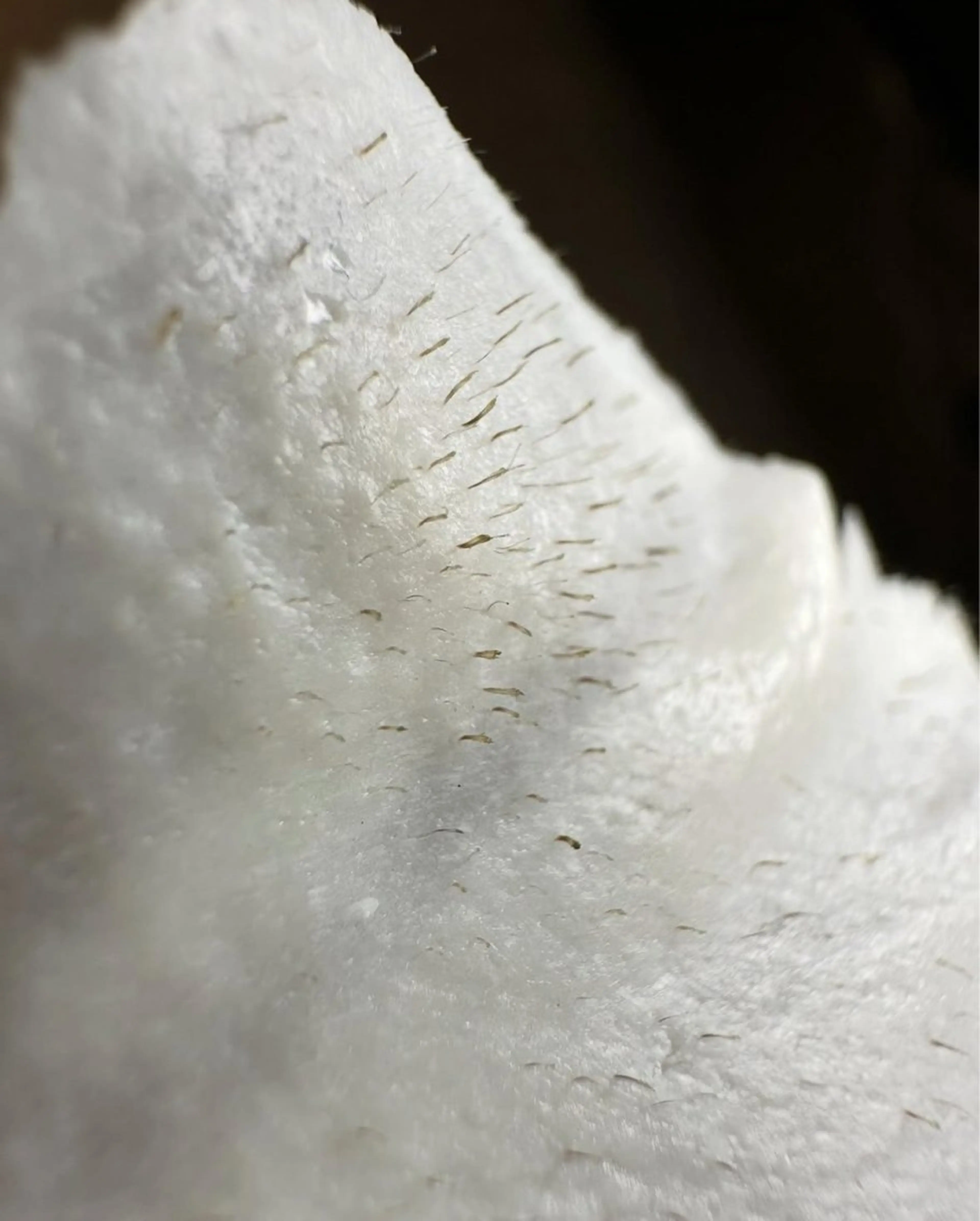 脱毛 アイブロウサロン　レアファースト所属・HBLaward受賞 KANAの眉毛・アイブロウイメージ