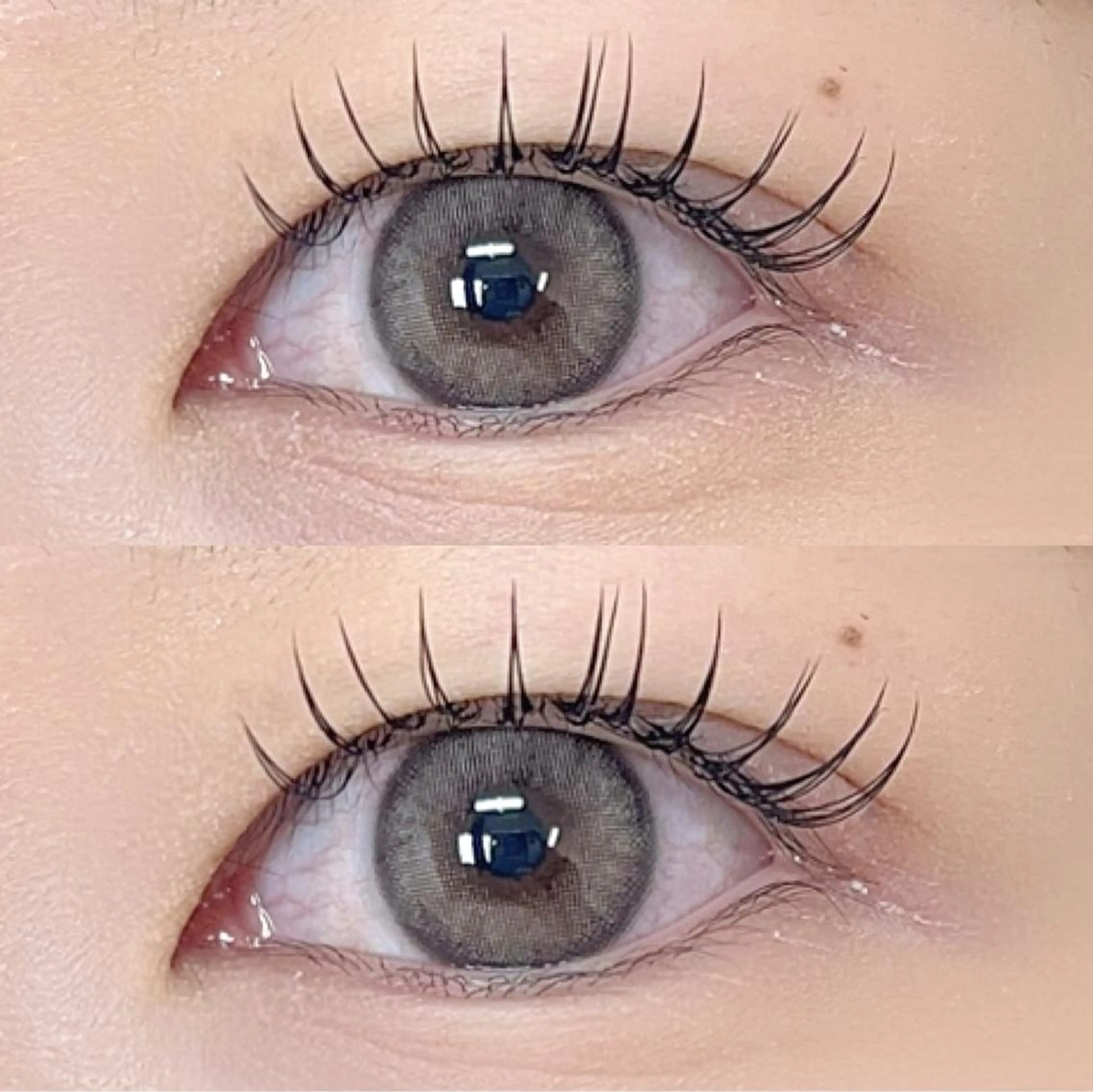 【フラットラッシュ】100本　　　　　　　　　　　　　　　　　　　　　　　　　　　コーティング付き✨の写真