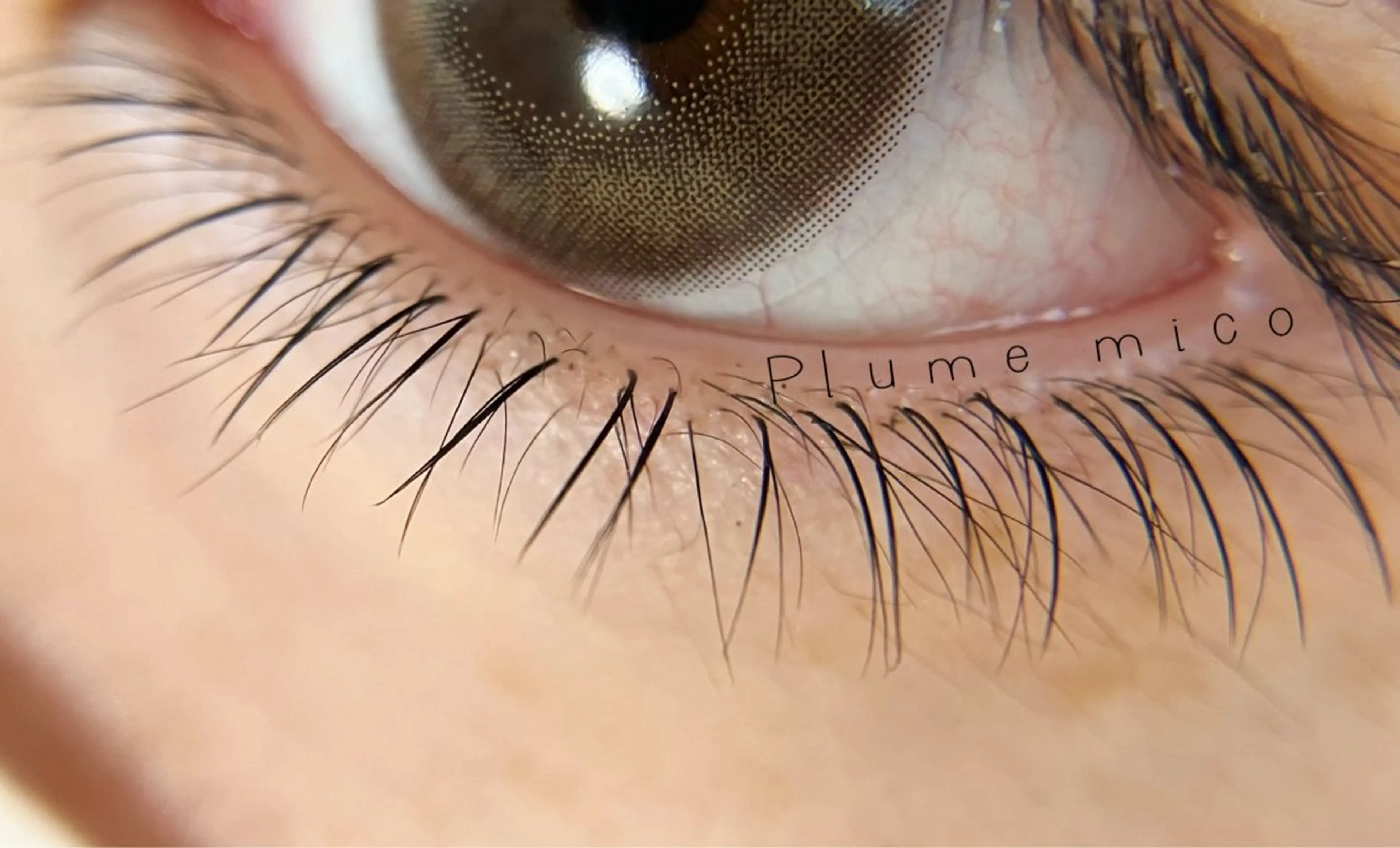 マツエク・マツパ マツエク Plume micoのマツエク・マツパデザイン