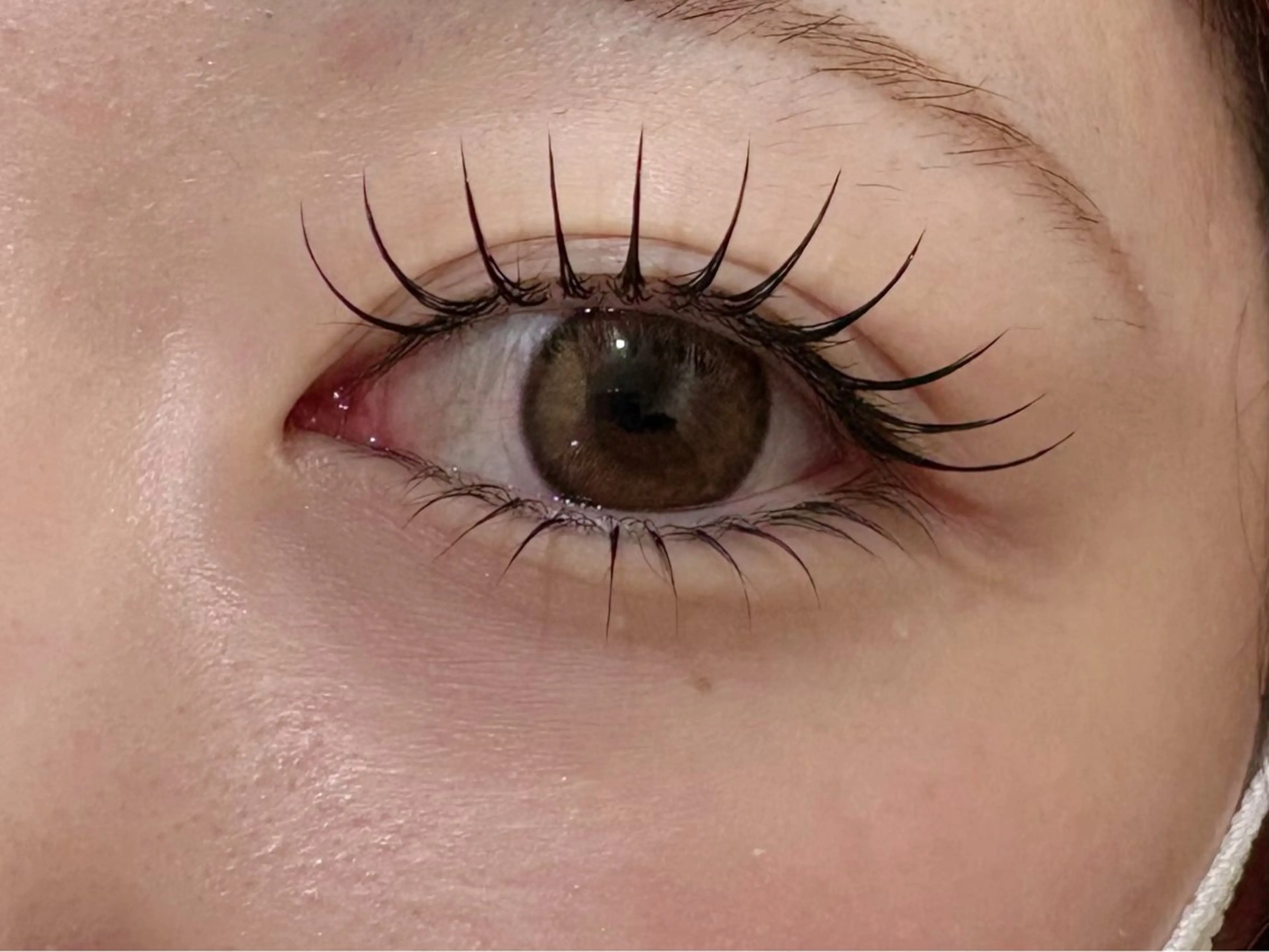 フラットラッシュ120本の写真