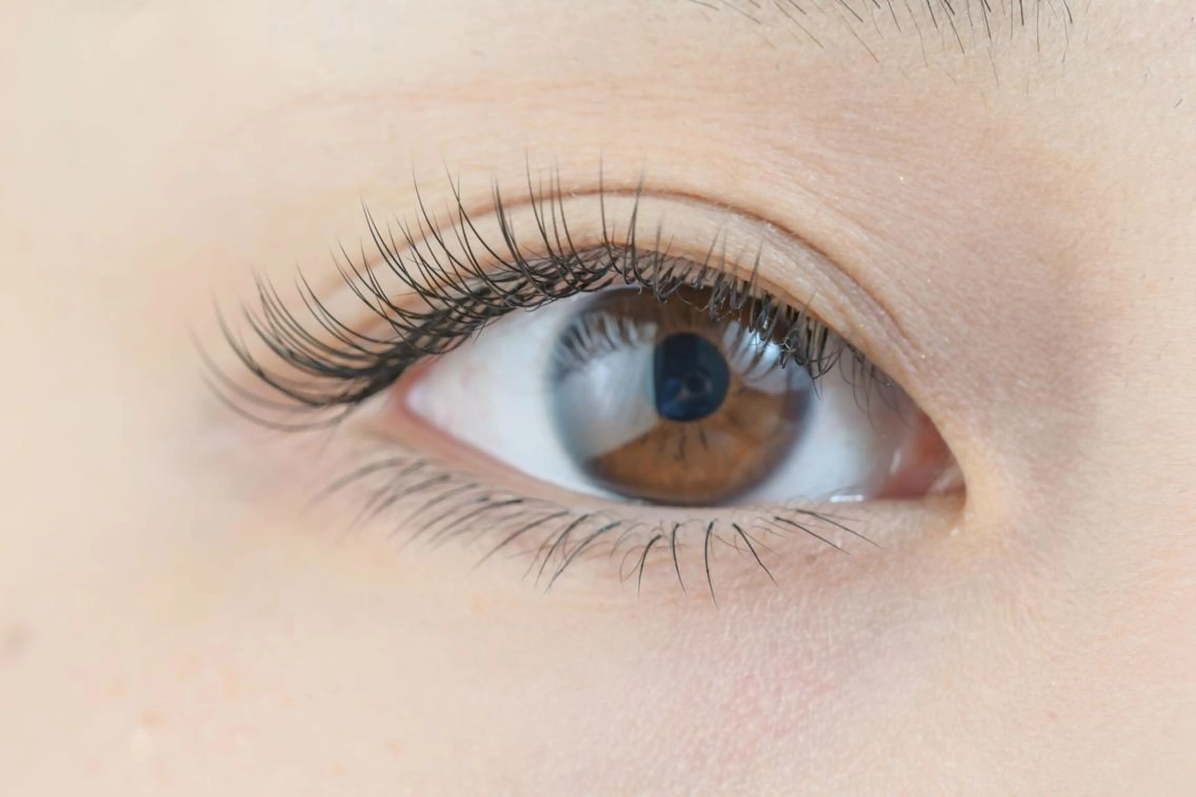 マツエク・マツパ ミンク アイサロン フェア 海老名店のマツエク・マツパデザイン