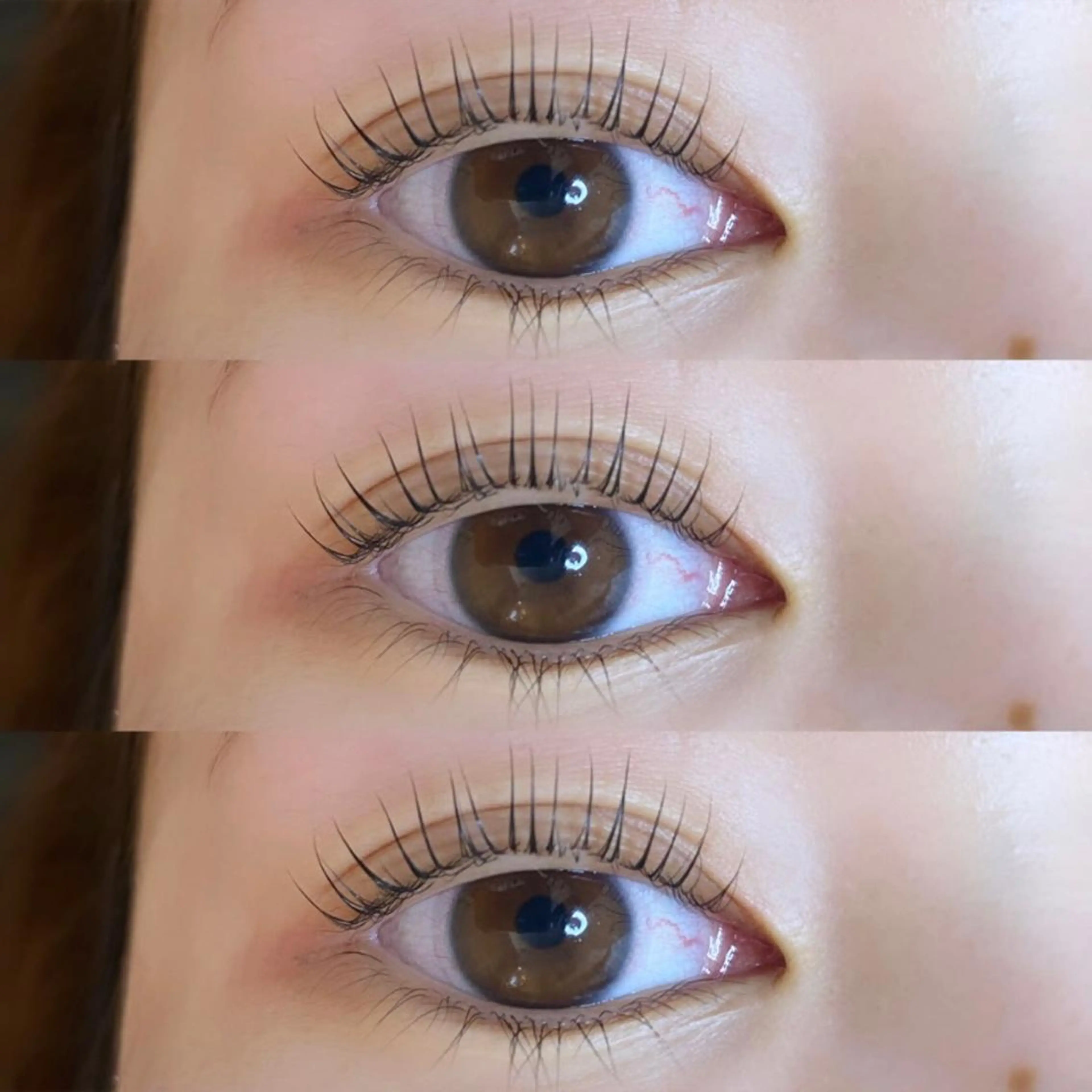 マツエク・マツパ パリジェンヌラッシュリフト マツパ 24 -niji-のマツエク・マツパデザイン